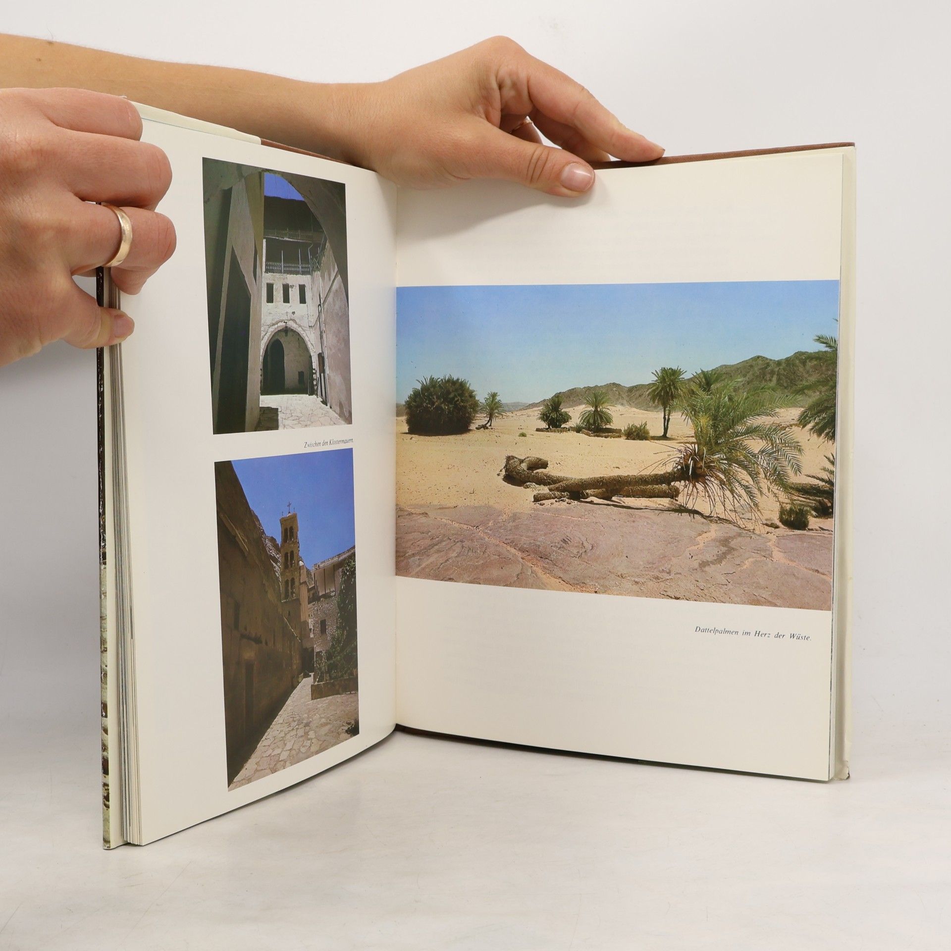 Autorenkollektiv Sinai und das Rote Meer