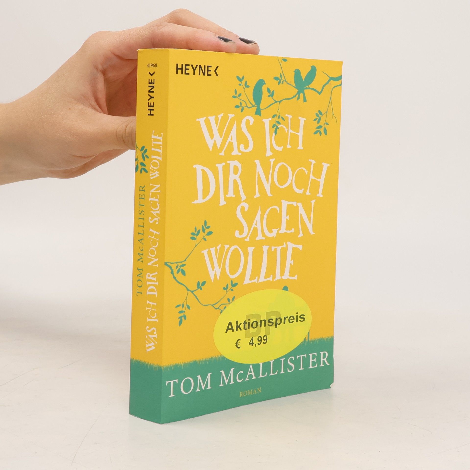 Tom McAllister Was ich dir noch sagen wollte