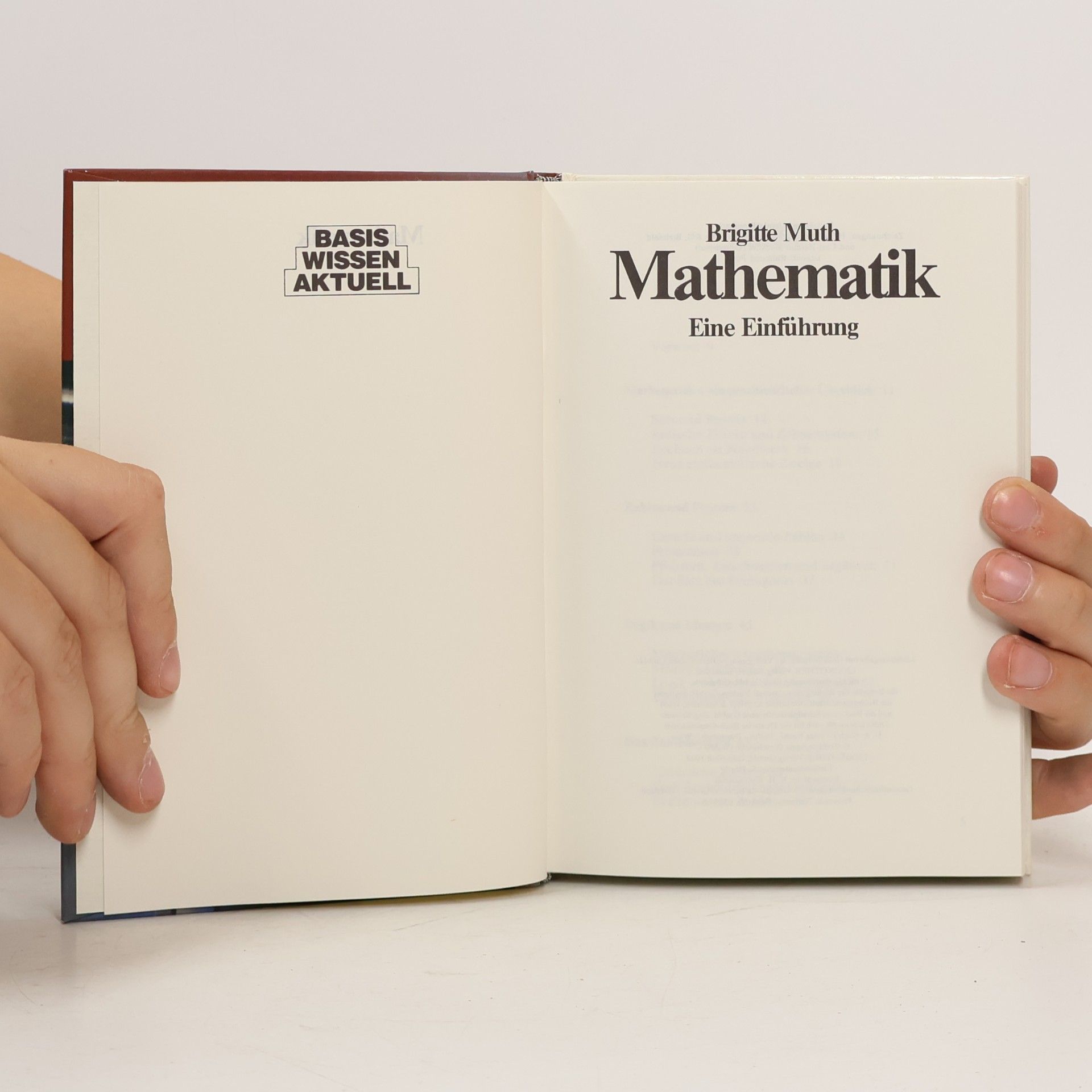 Brigitte Muth Mathematik. Eine Einführung