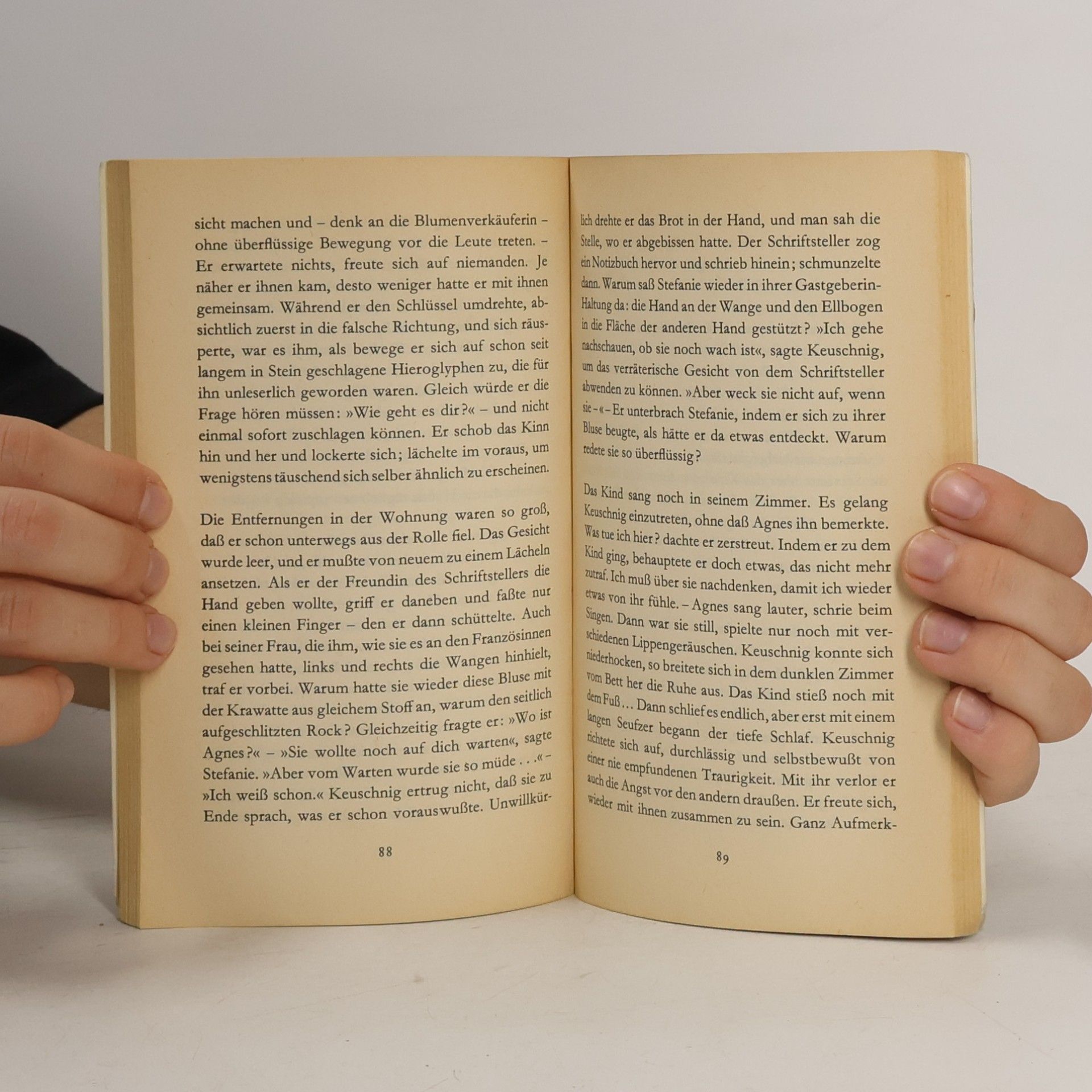 Peter Handke Die Stunde der wahren Empfindung