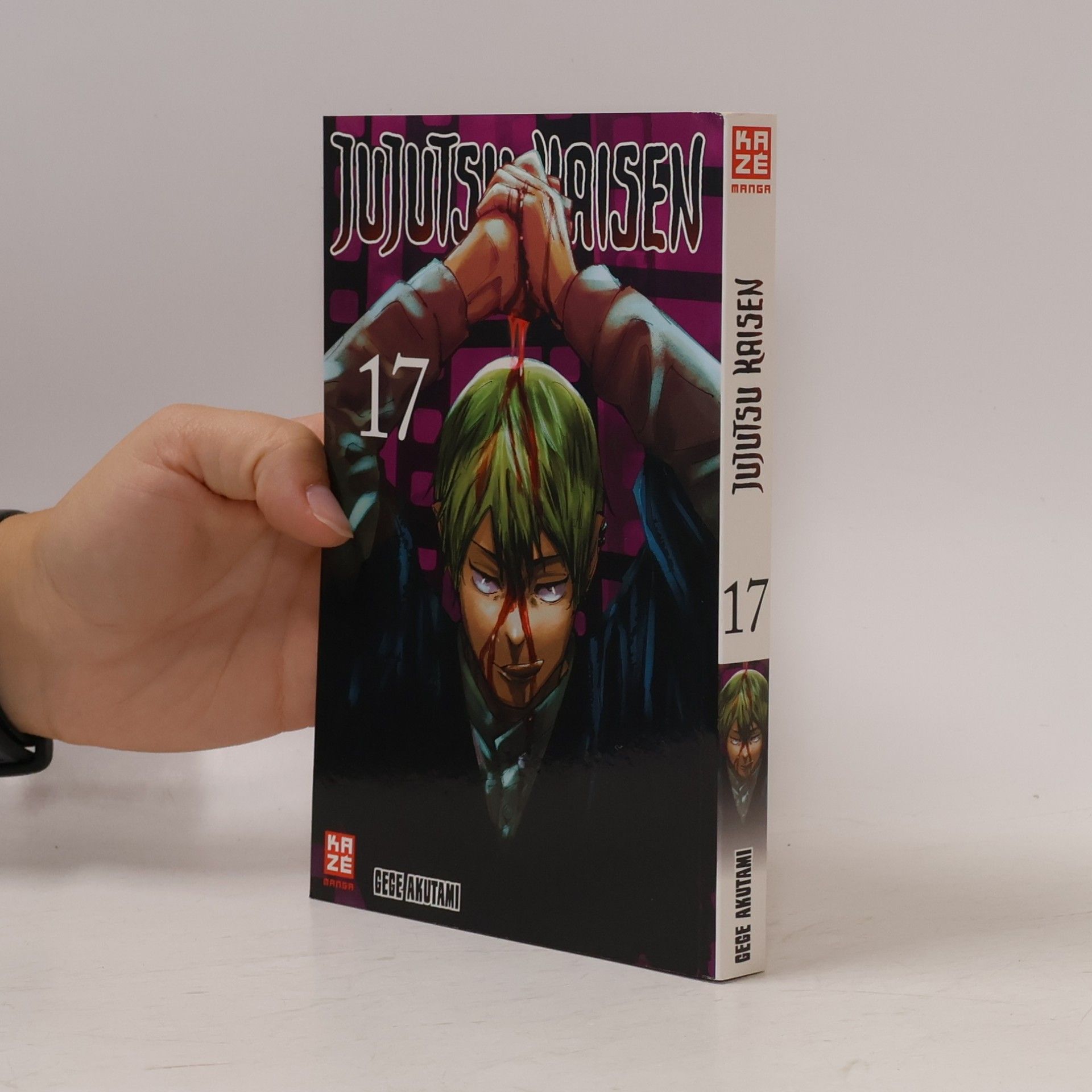 Gege Akutami Jujutsu Kaisen 17