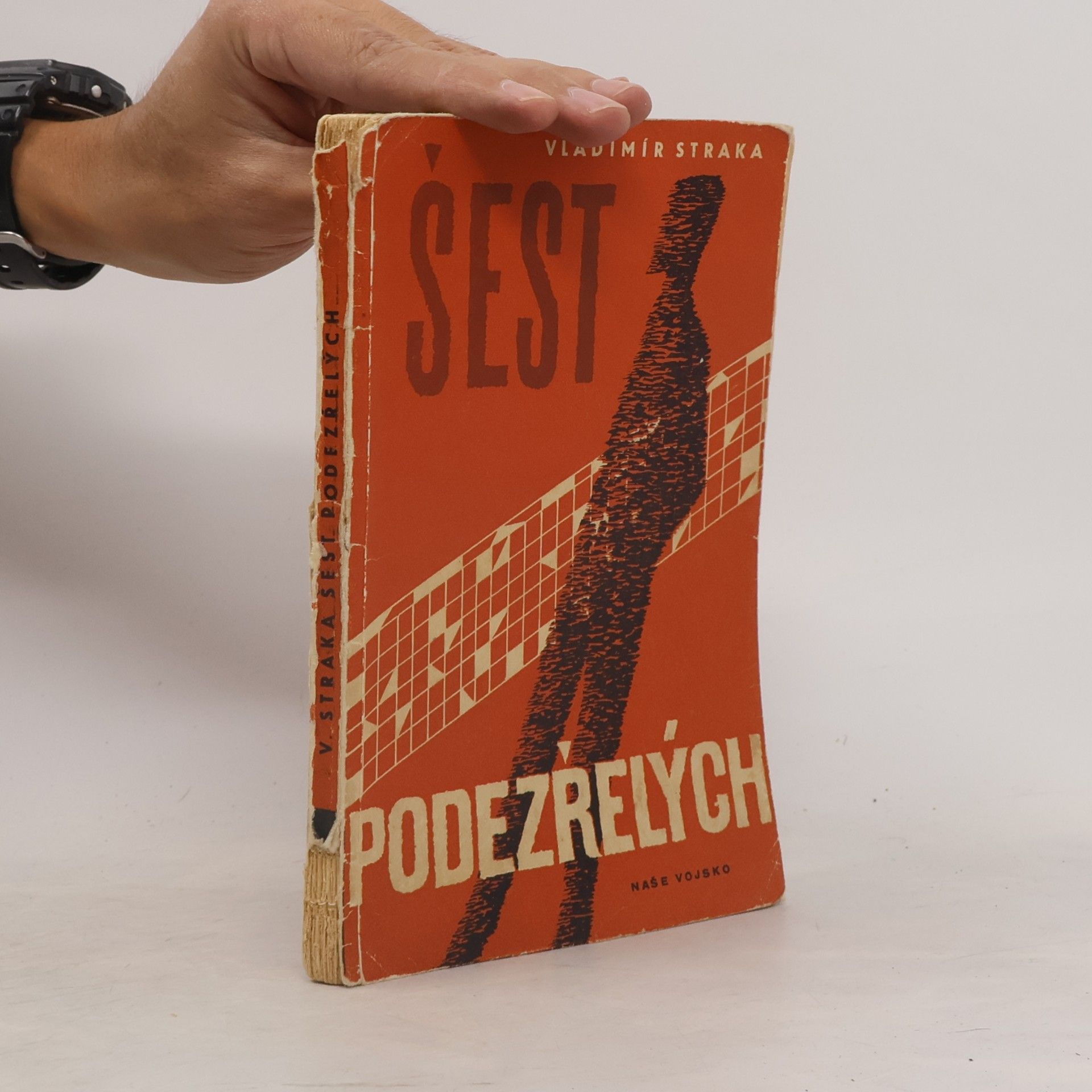 Vladimír Straka Šest podezřelých