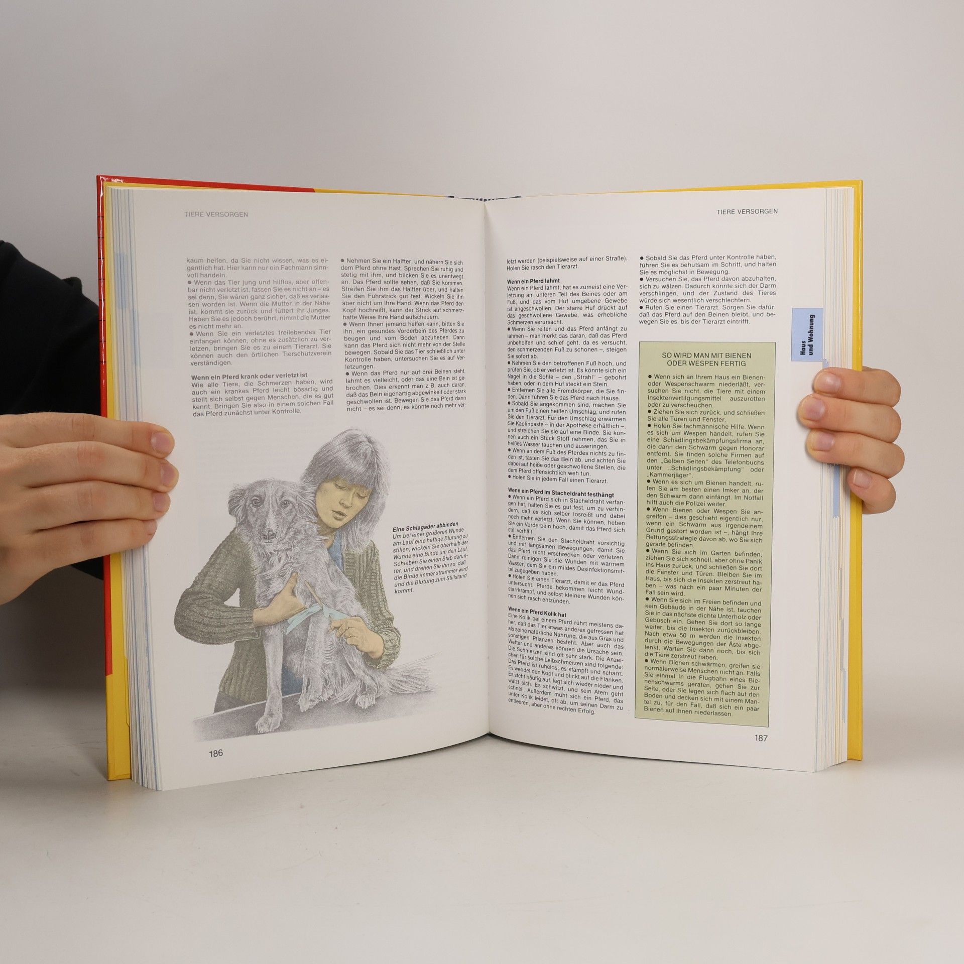 Autorenkollektiv Helfen Retten Vorbeugen