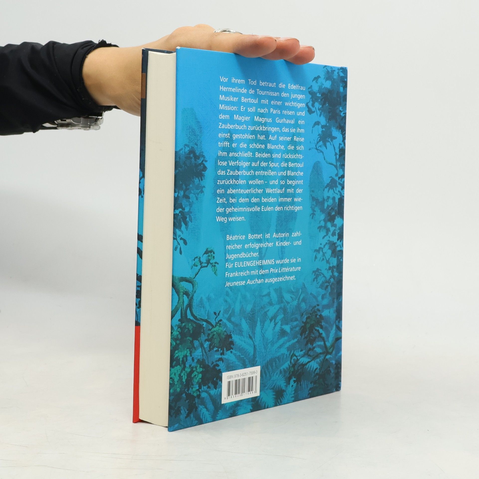 Béatrice Bottet Das Zauberbuch mit dem Rubin - Eulengeheimnis