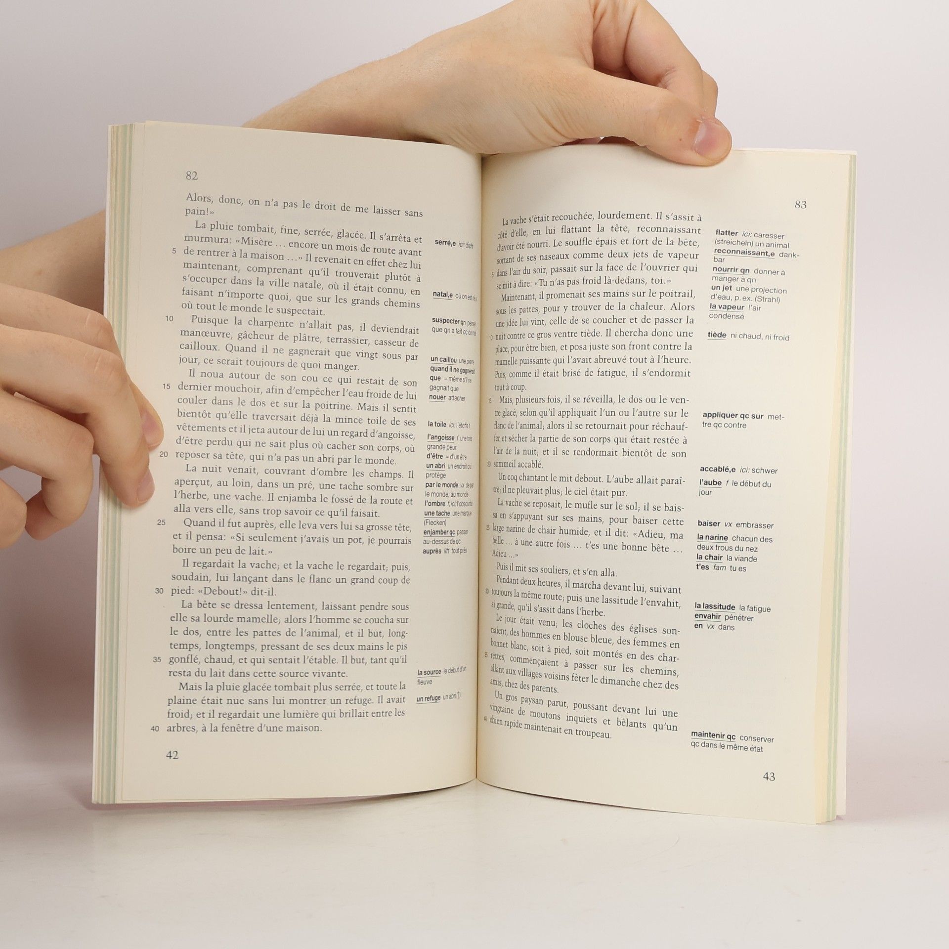 Carola Bogdahn Contes célèbres du XIXe siècle