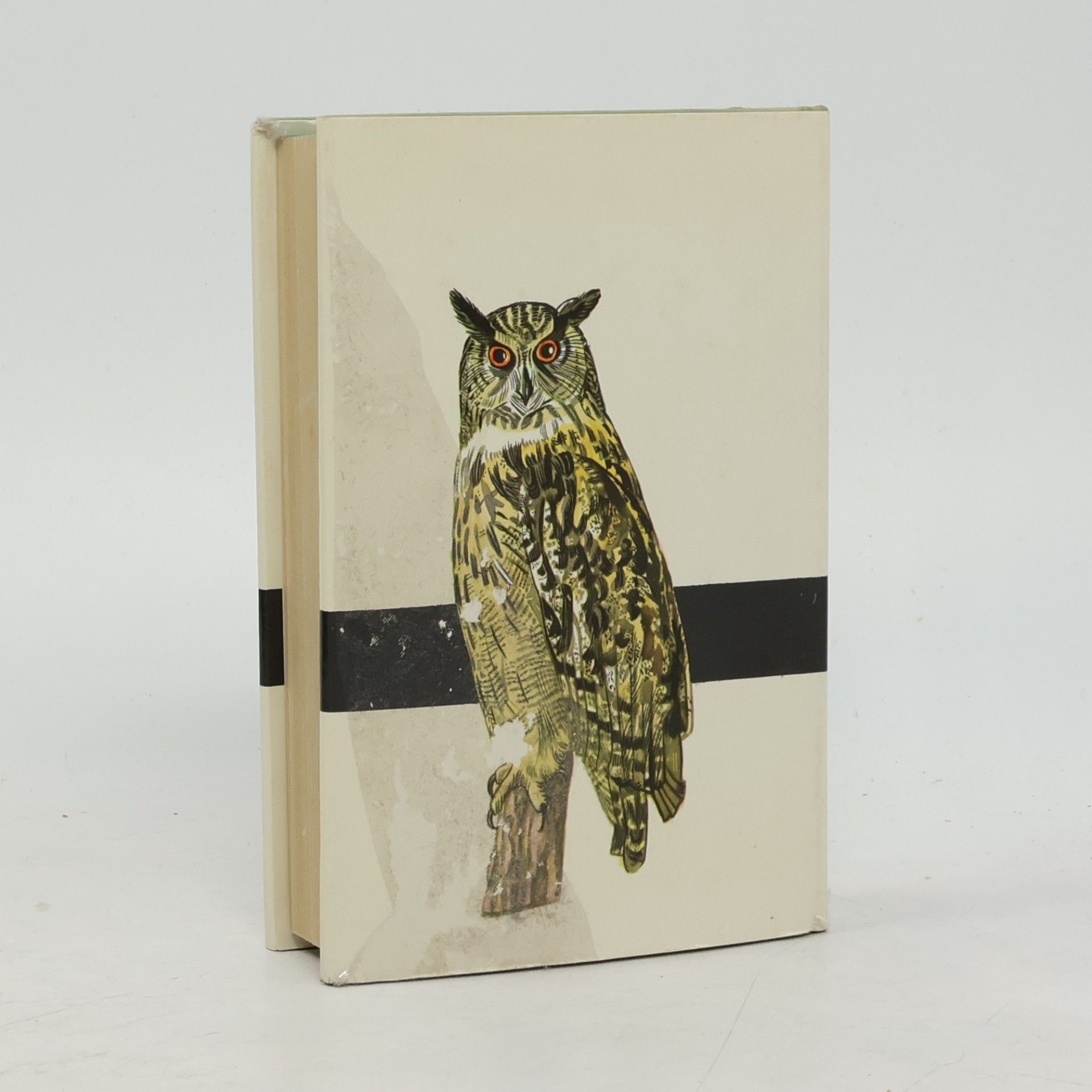 Jan Solovjev Taschenatlas der Vögel