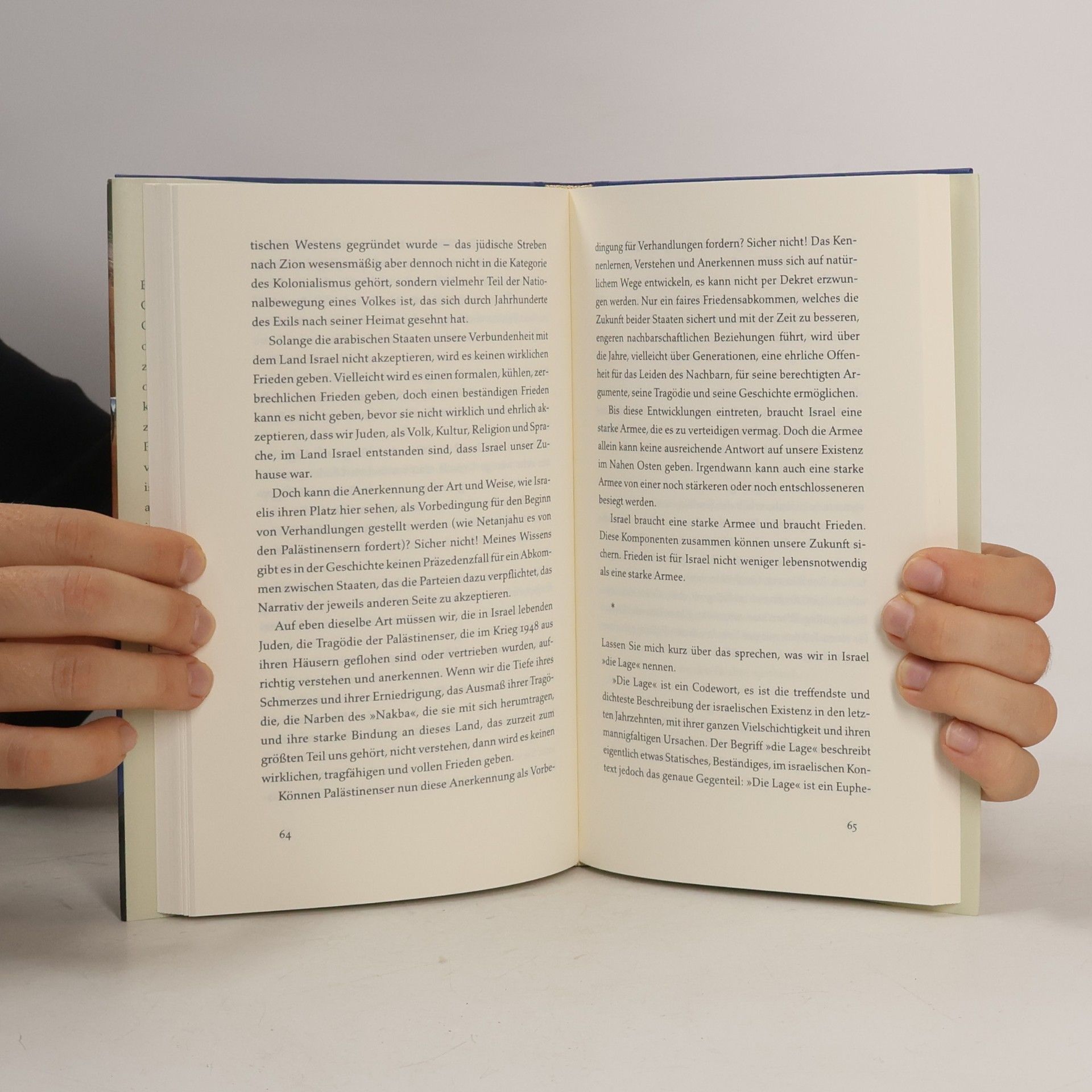 David Grossman Eine Taube erschießen