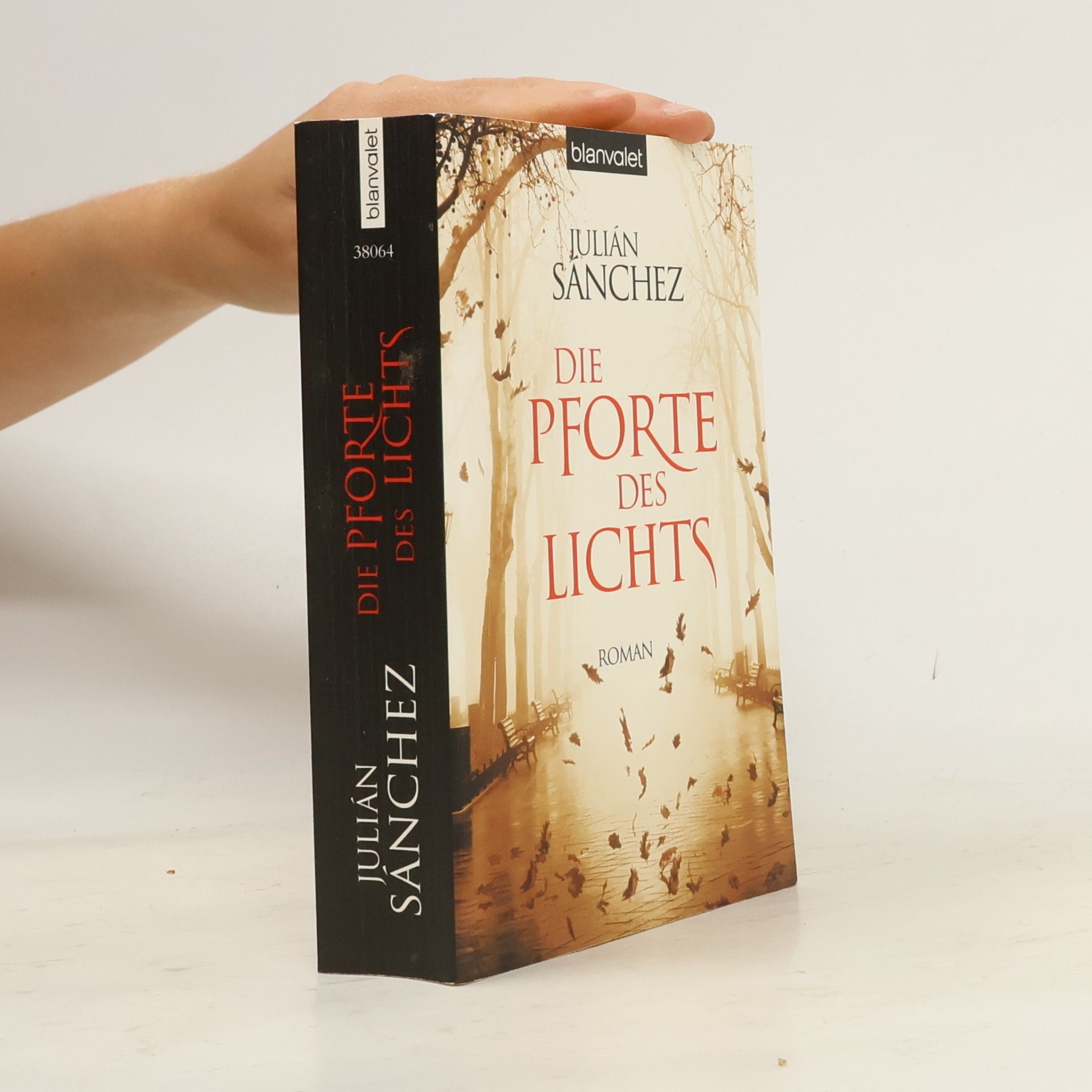 Julian Sanchez Die Pforte des Lichts