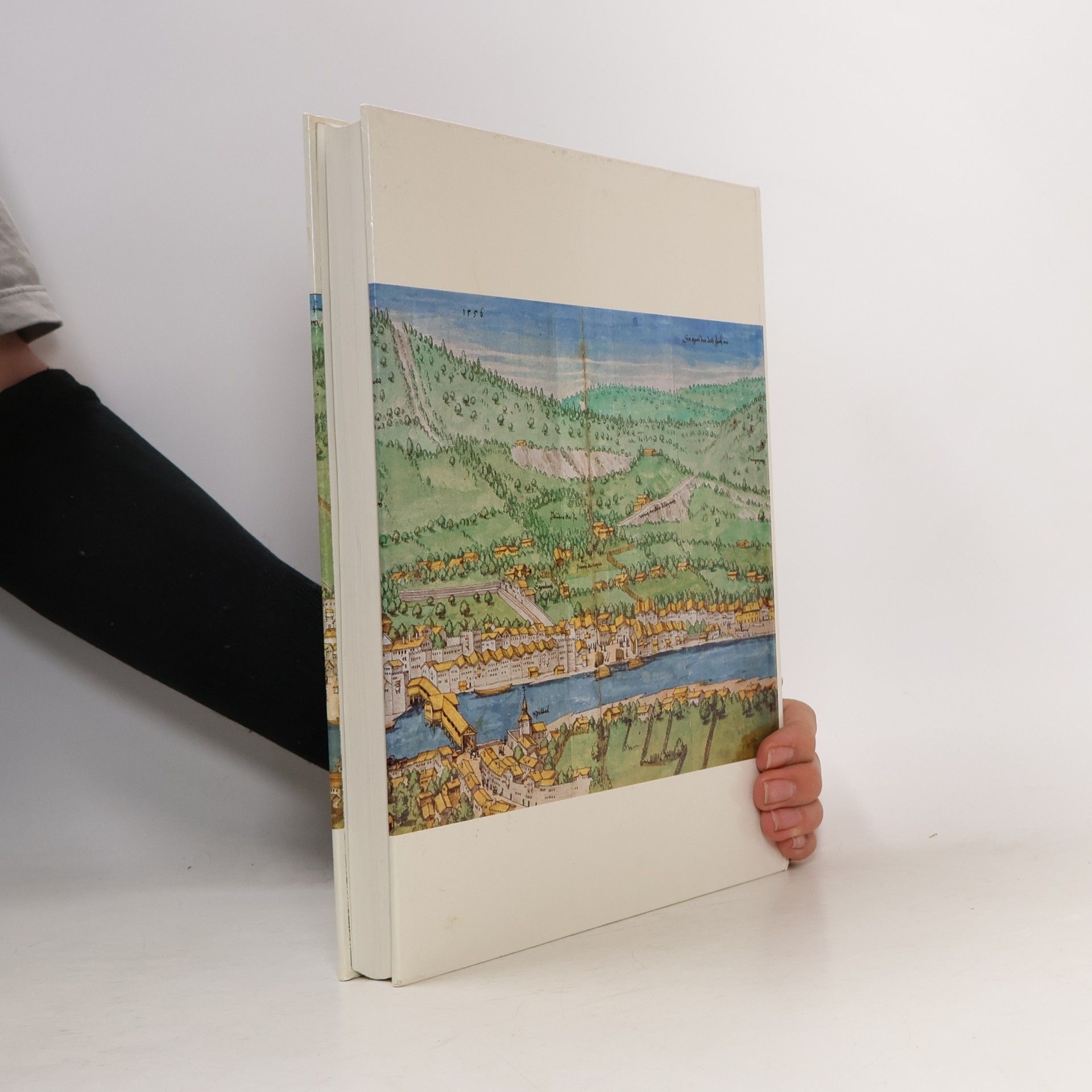 Erich Egg Stadtbuch Schwaz