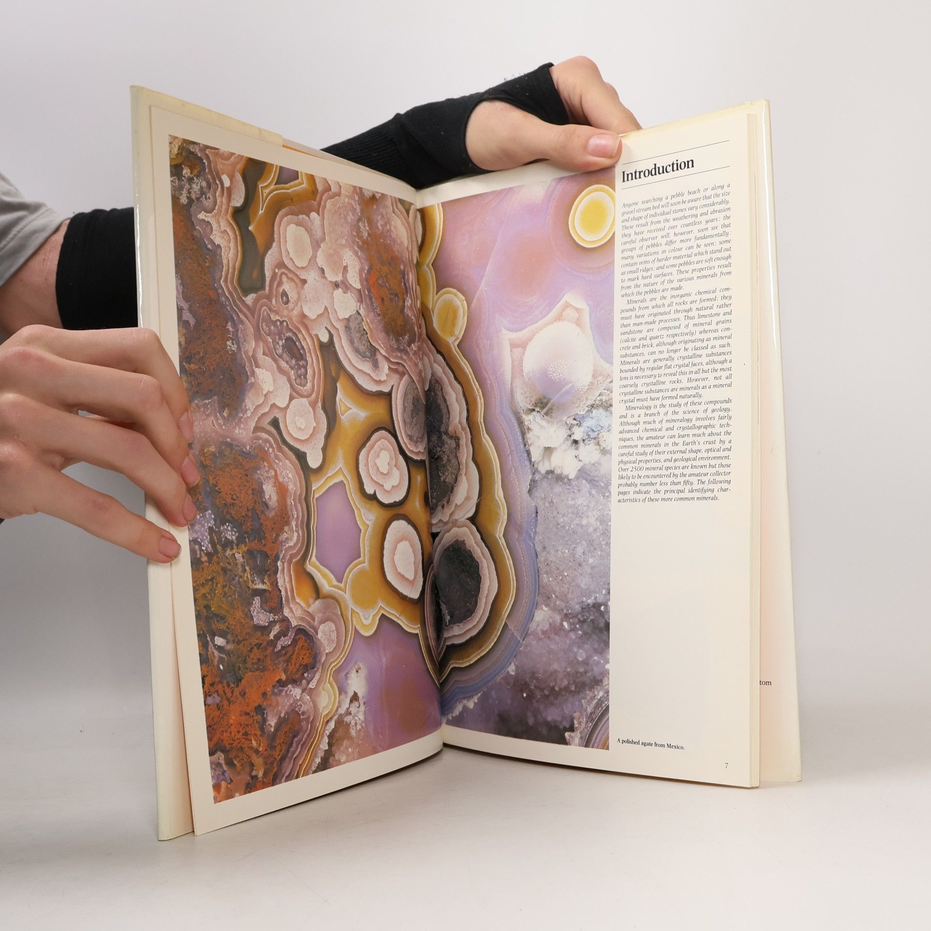 Andrew Clark Nature Library: Minerals