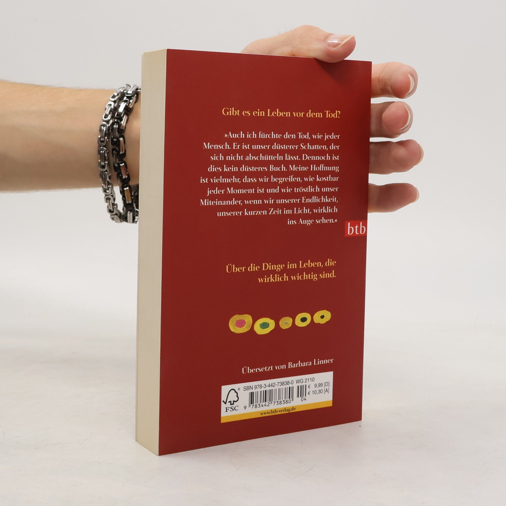 Irvin Yalom In die Sonne schauen