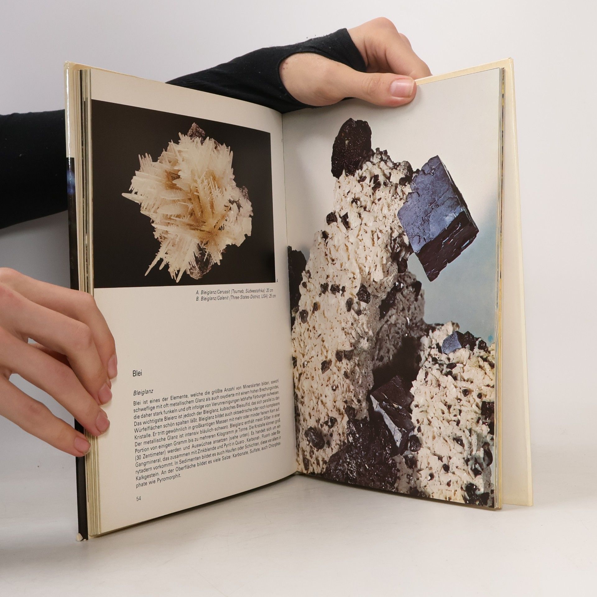 Pierre Bariand Die wunderbare Welt der Mineralien