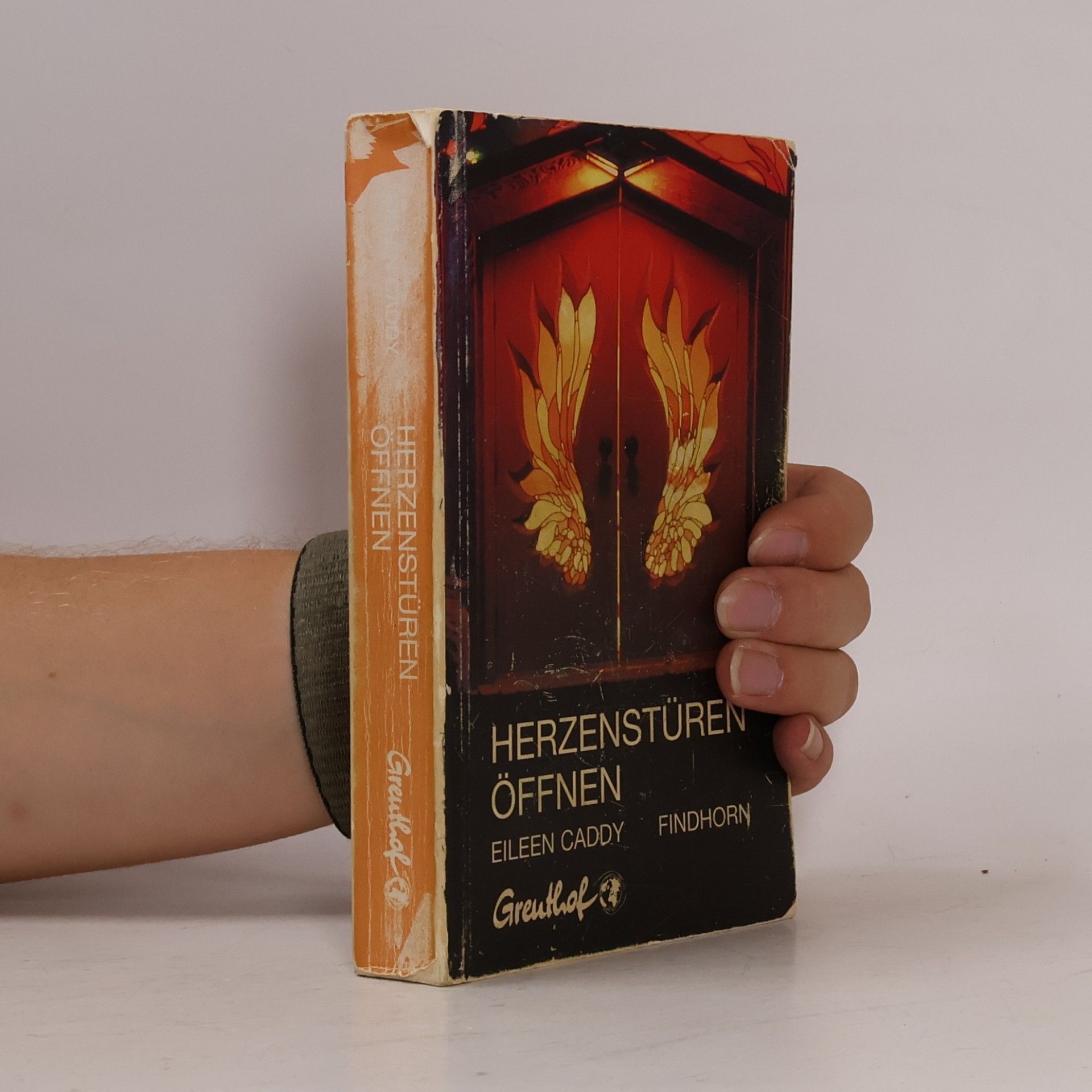 Eileen Caddy Herzenstüren öffnen