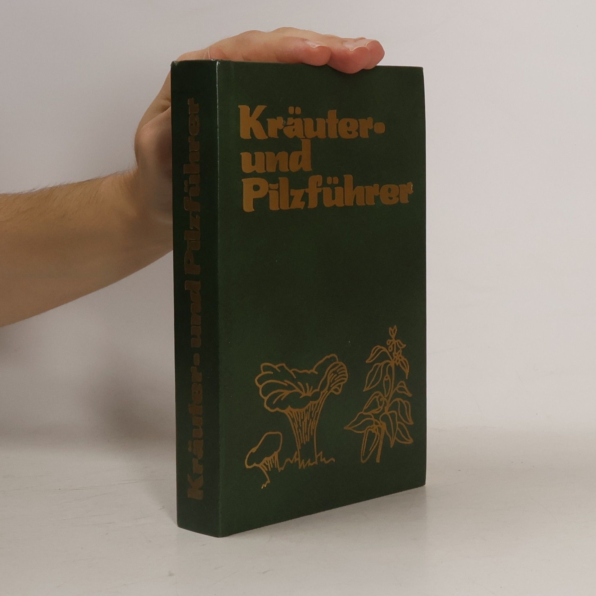 Autorenkollektiv Kräuter- und Pilzführer