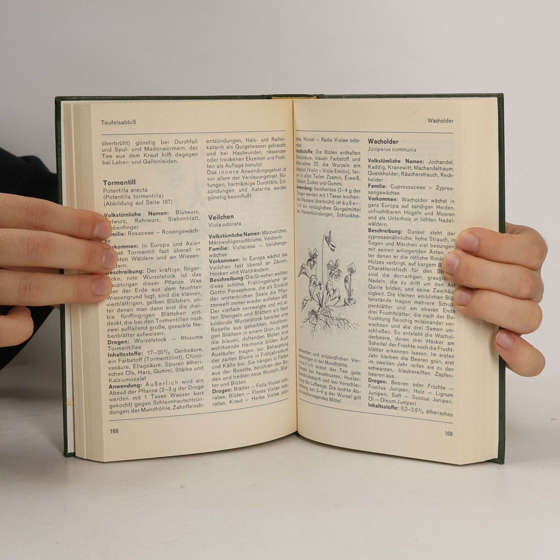 Autorenkollektiv Kräuter- und Pilzführer
