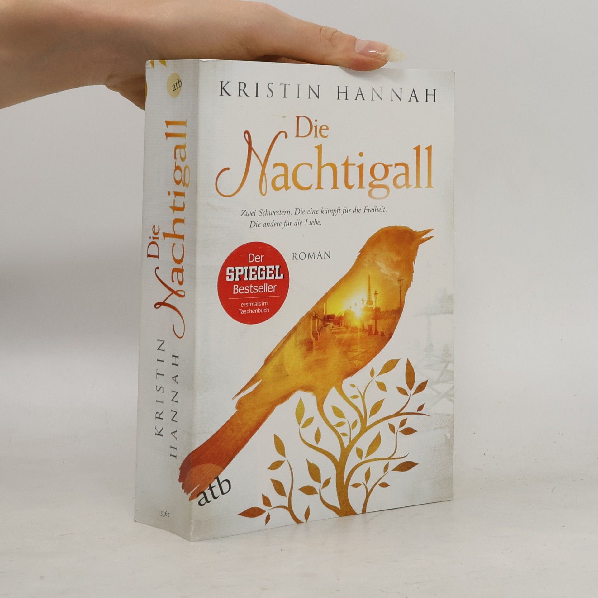 Kristin Hannah Die Nachtigall
