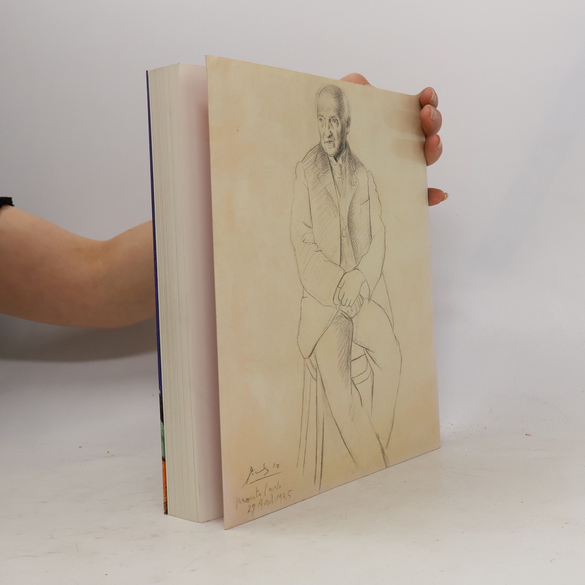 Autorenkollektiv Goya bis Picasso. Meisterwerke der Sammlung Jan Krugier und Marie-Anne Krugier-Poniatowski