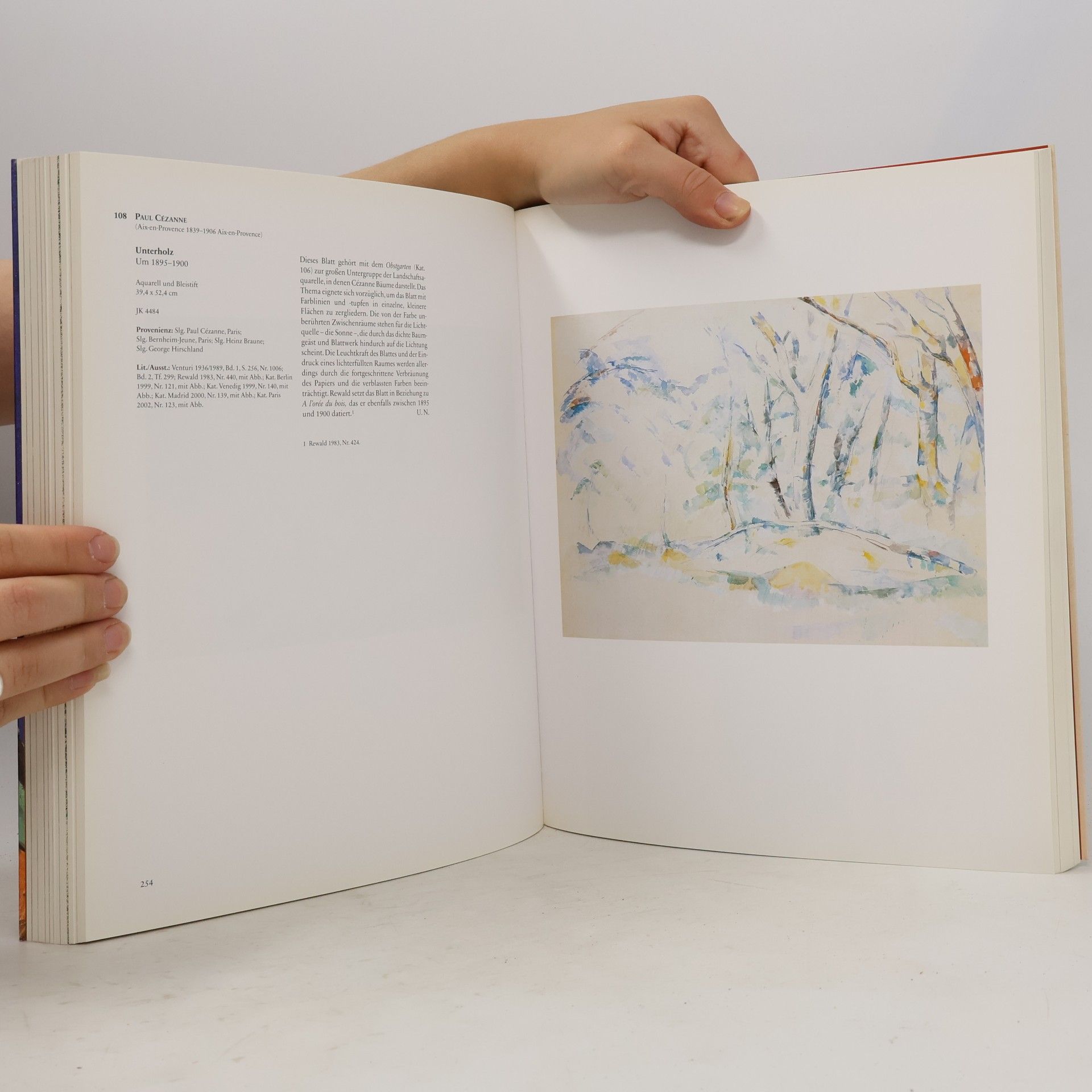 Autorenkollektiv Goya bis Picasso. Meisterwerke der Sammlung Jan Krugier und Marie-Anne Krugier-Poniatowski