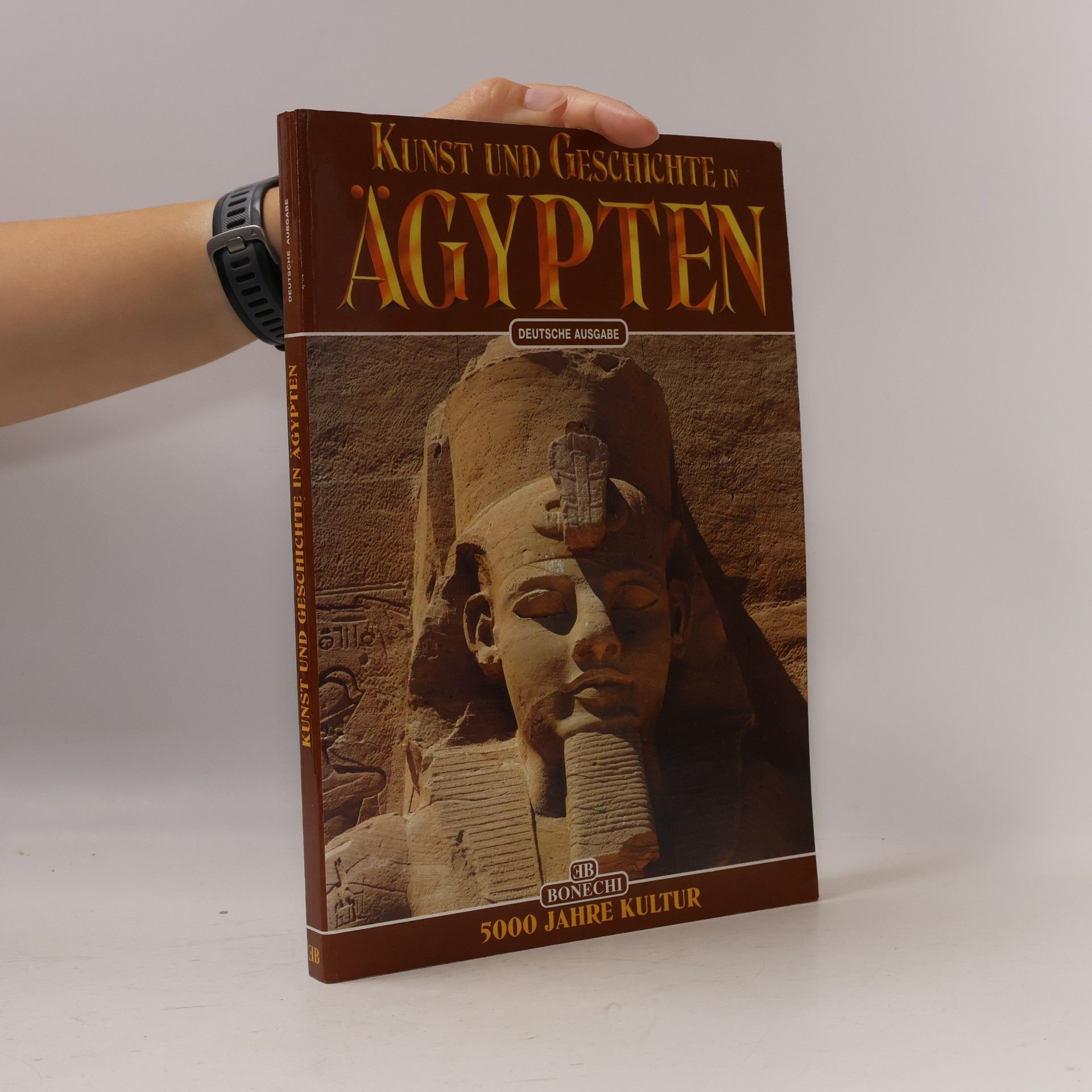 Kunst und Geschichte in Ägypten
