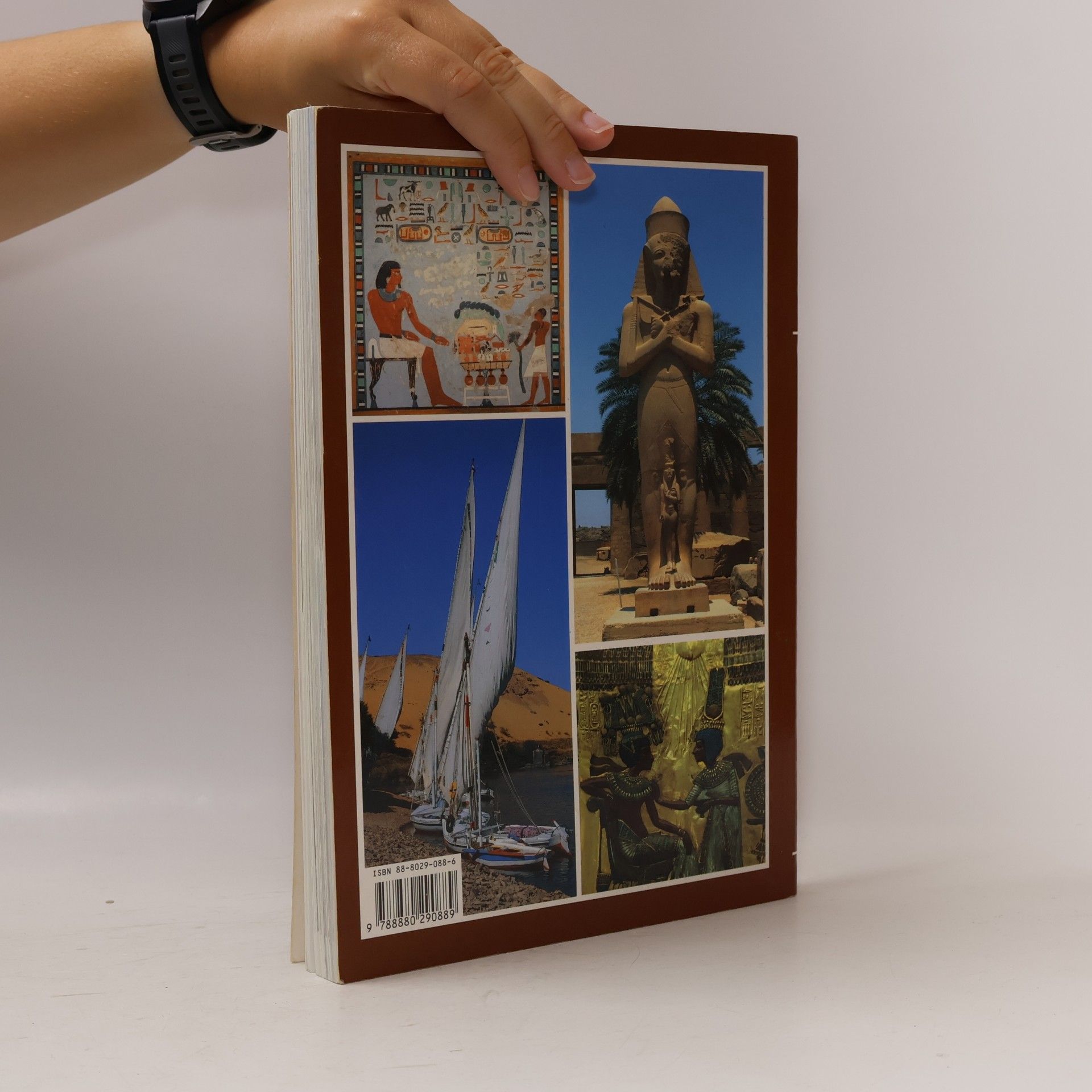 Alberto Carlo Carpiceci Kunst und Geschichte in Ägypten