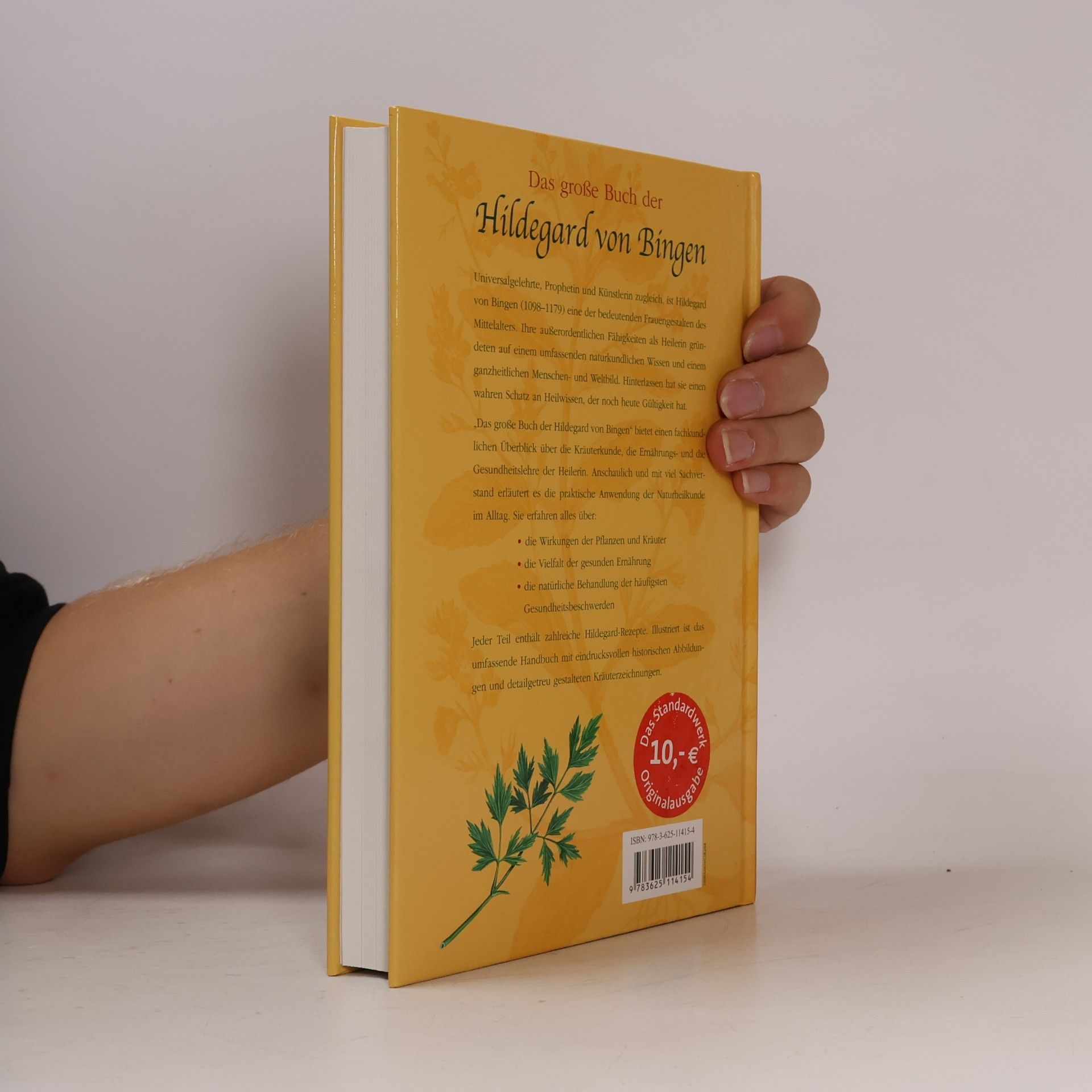 Hildegard von Bingen Das große Buch der Hildegard von Bingen