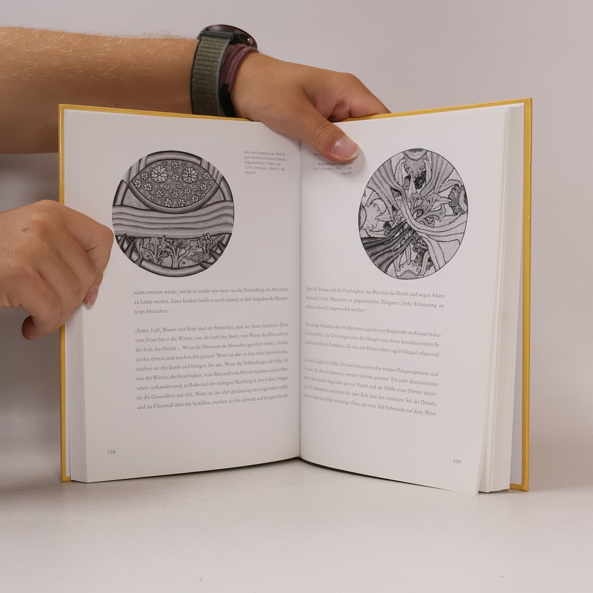 Hildegard von Bingen Das große Buch der Hildegard von Bingen