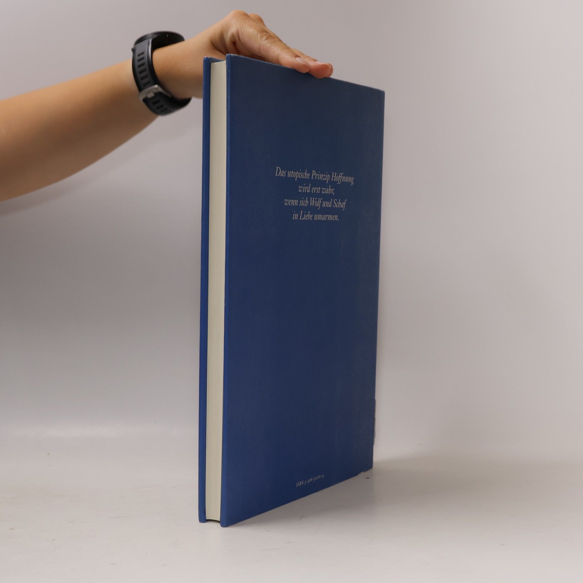 Thomas Morus Ein wahrhaft kostbares und ebenso bekömmliches wie kurzweiliges Buch über die beste Staatsverfassung und die neue Insel Utopia