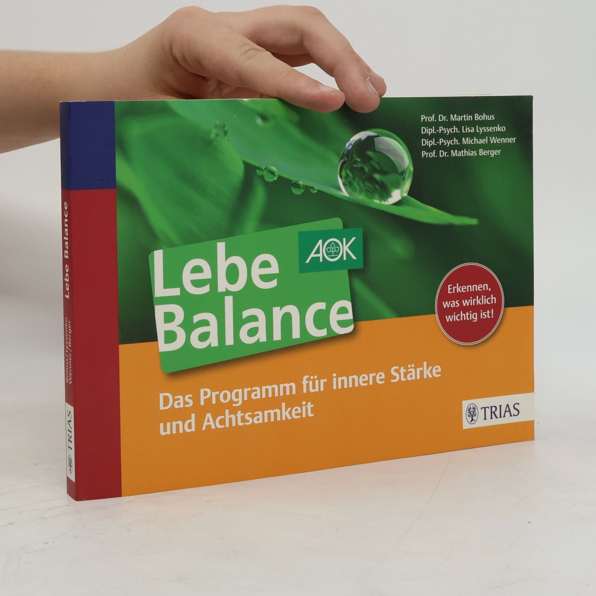Martin Bohus Lebe Balance