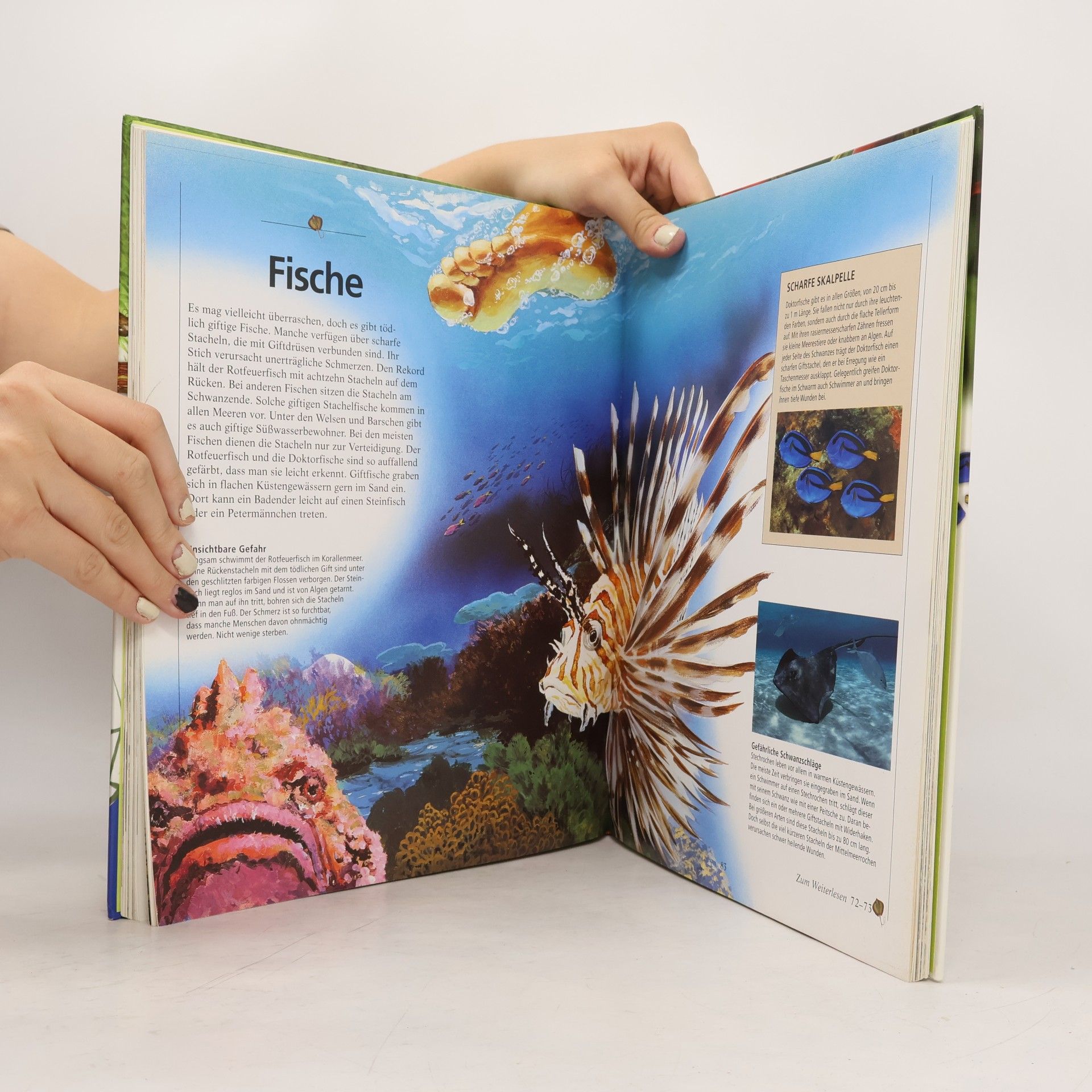Hans Peter Thiel Tiere und Natur