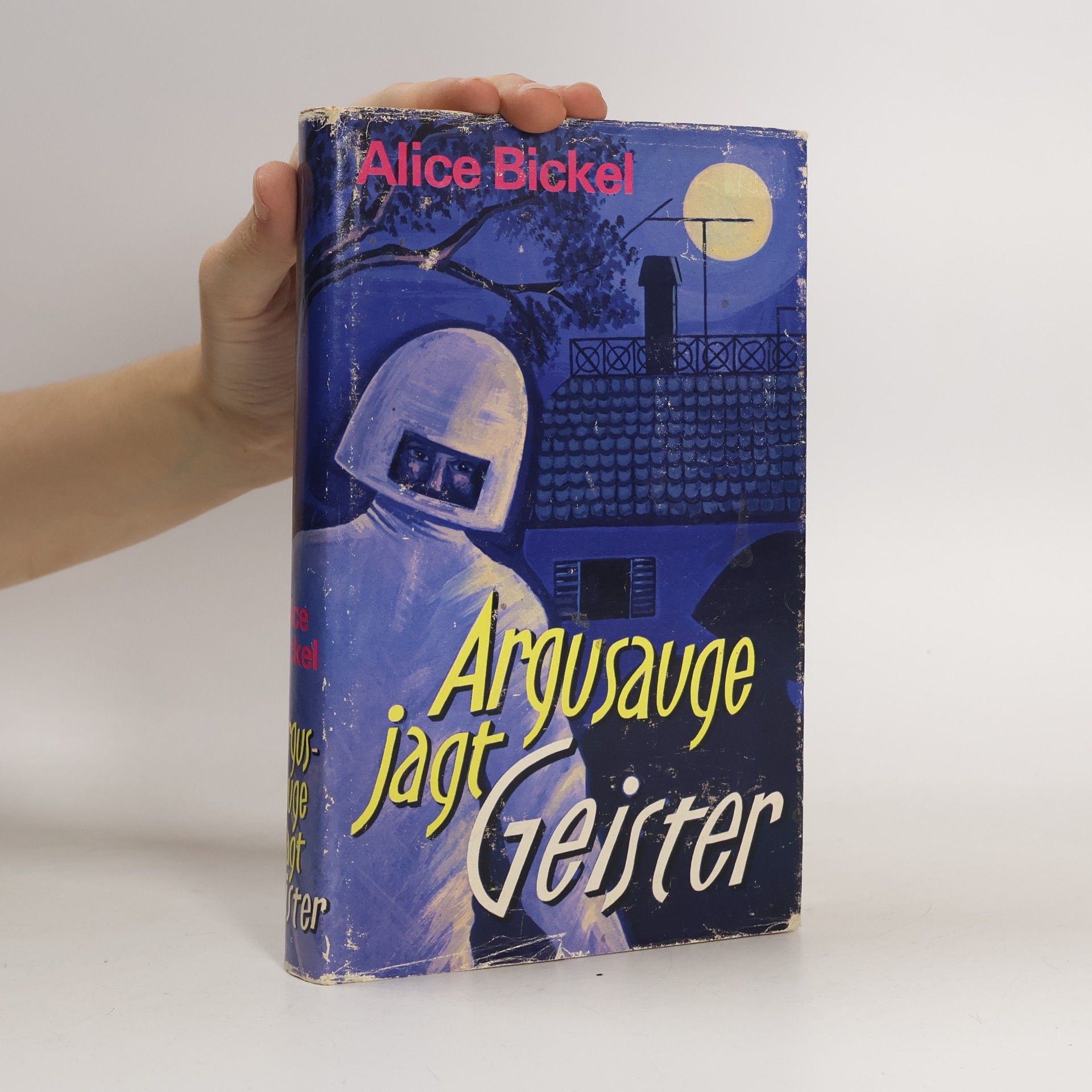 Alice Bickel Argusauge jagt Geister