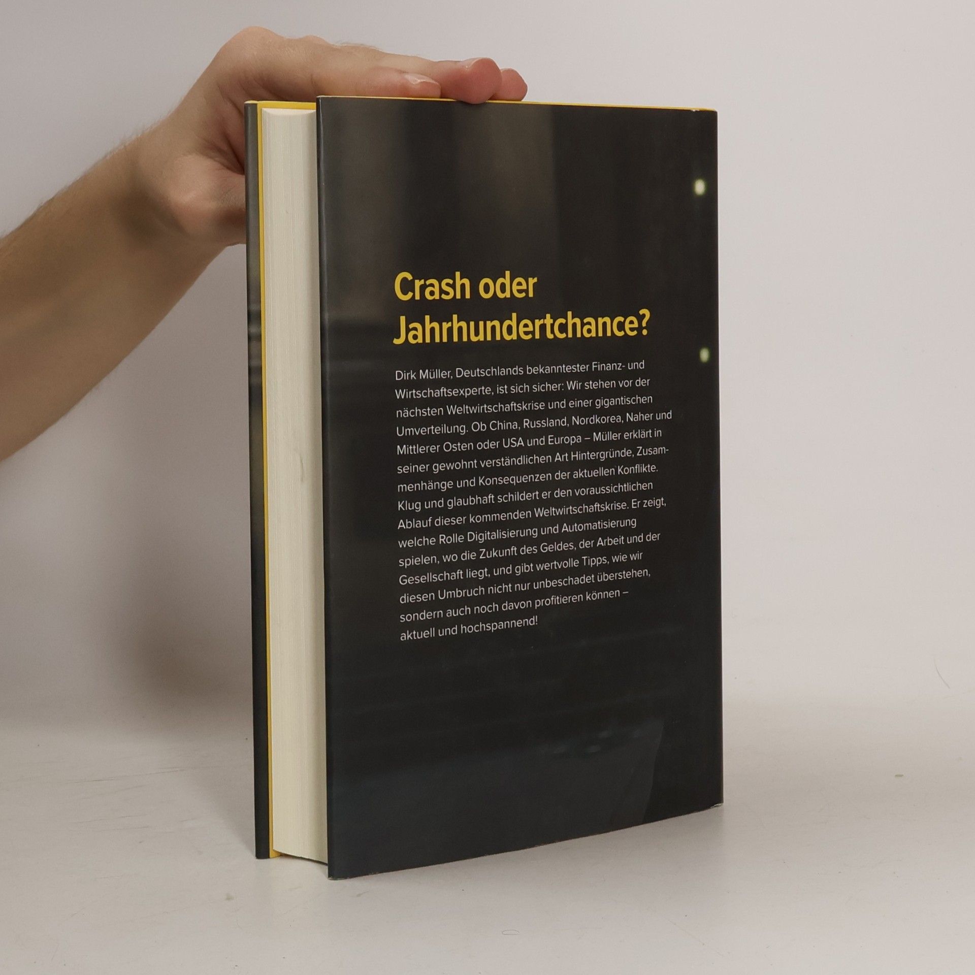 Jan-Dirk Müller Machtbeben: Die Welt vor der grössten Wirtschaftskrise aller Zeiten