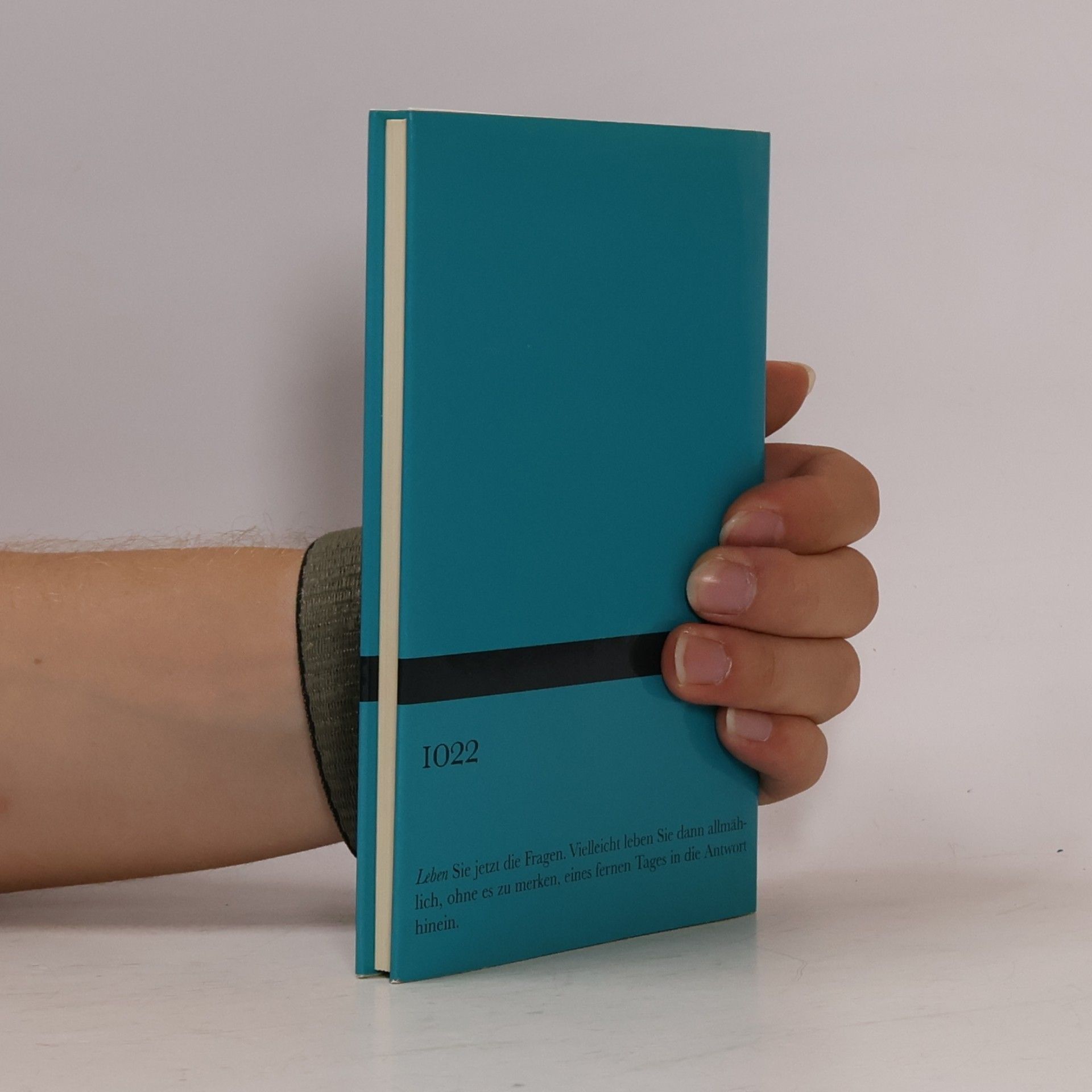 Rainer Maria Rilke Briefe an einen jungen Dichter