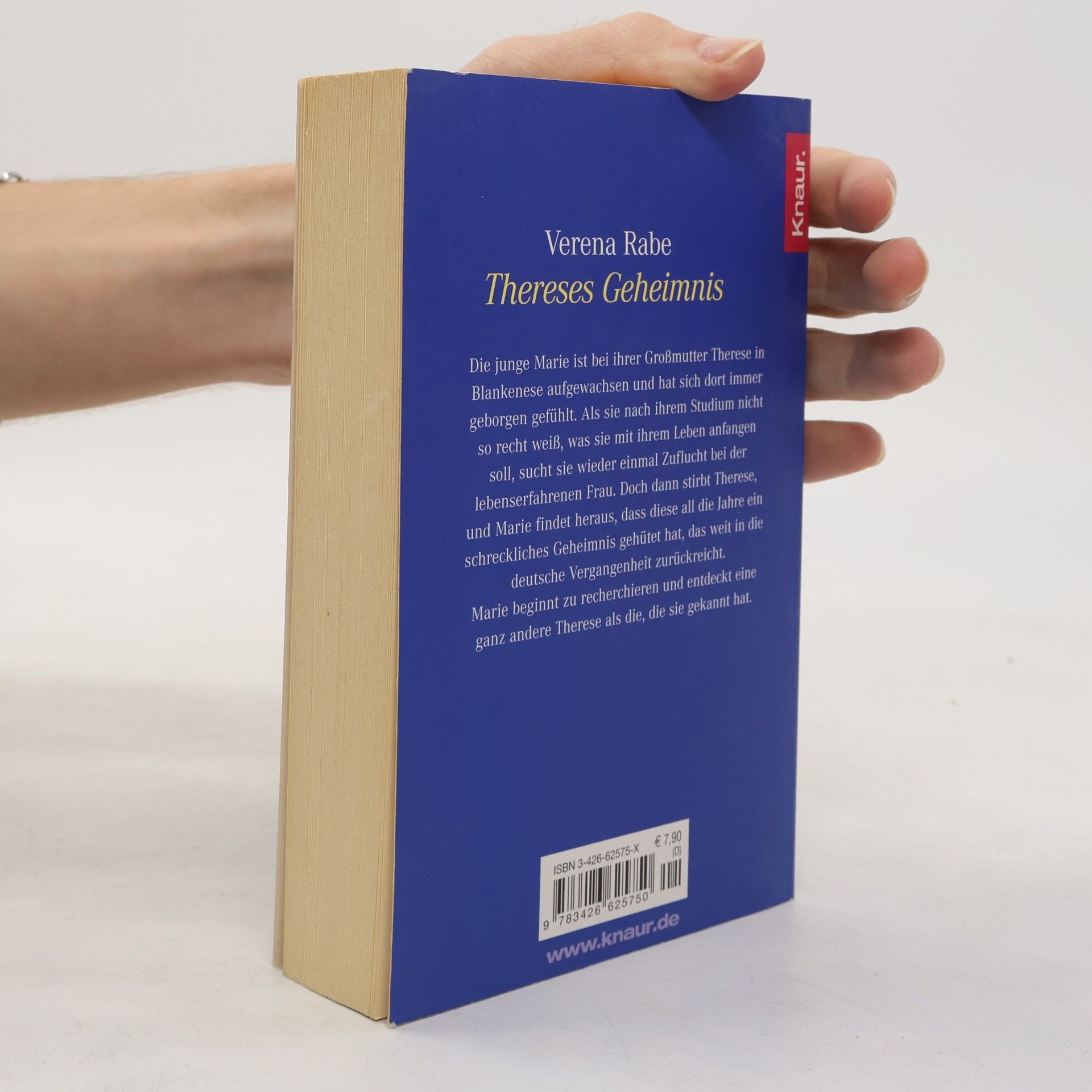 Verena Rabe Thereses Geheimnis