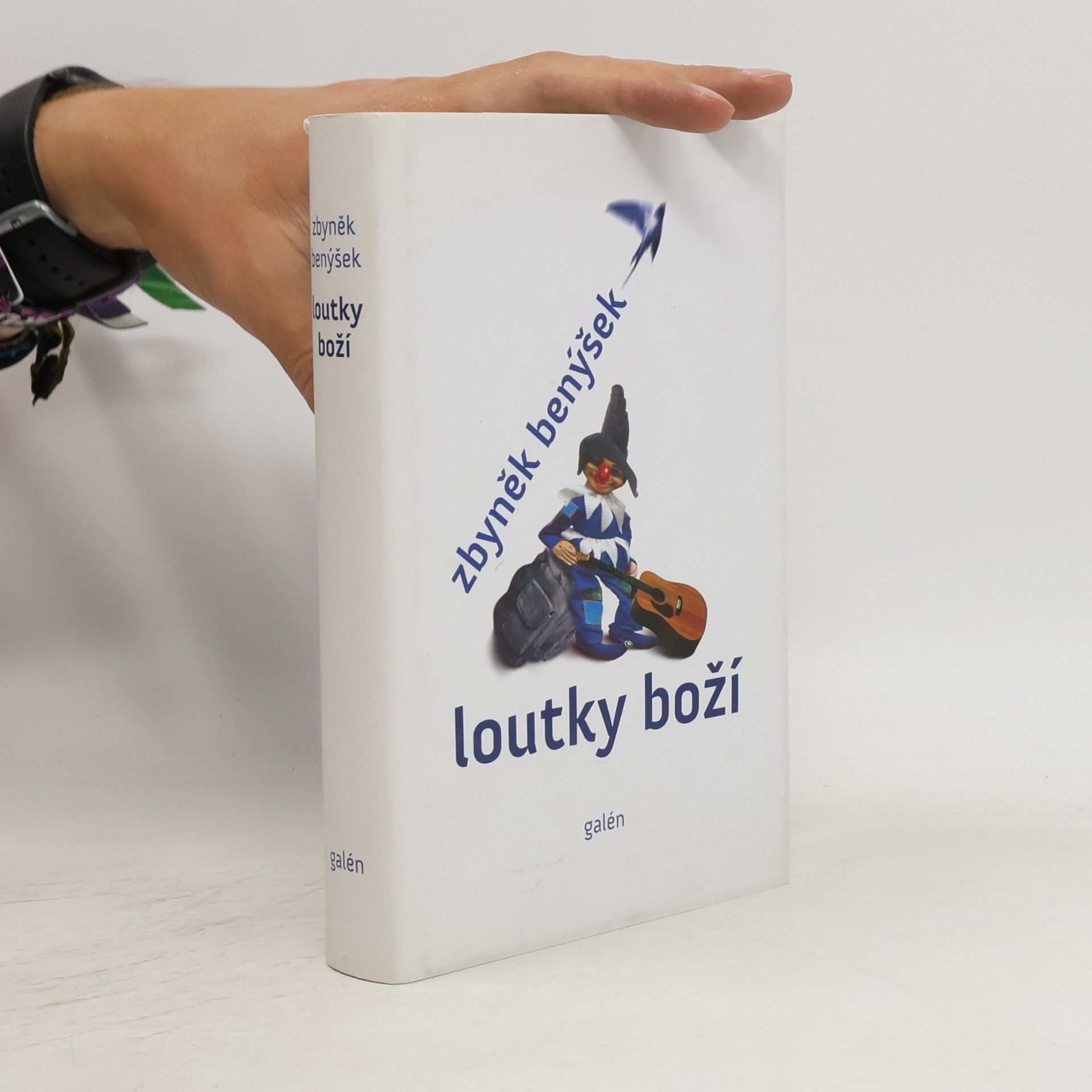 Zbyněk Benýšek Loutky boží