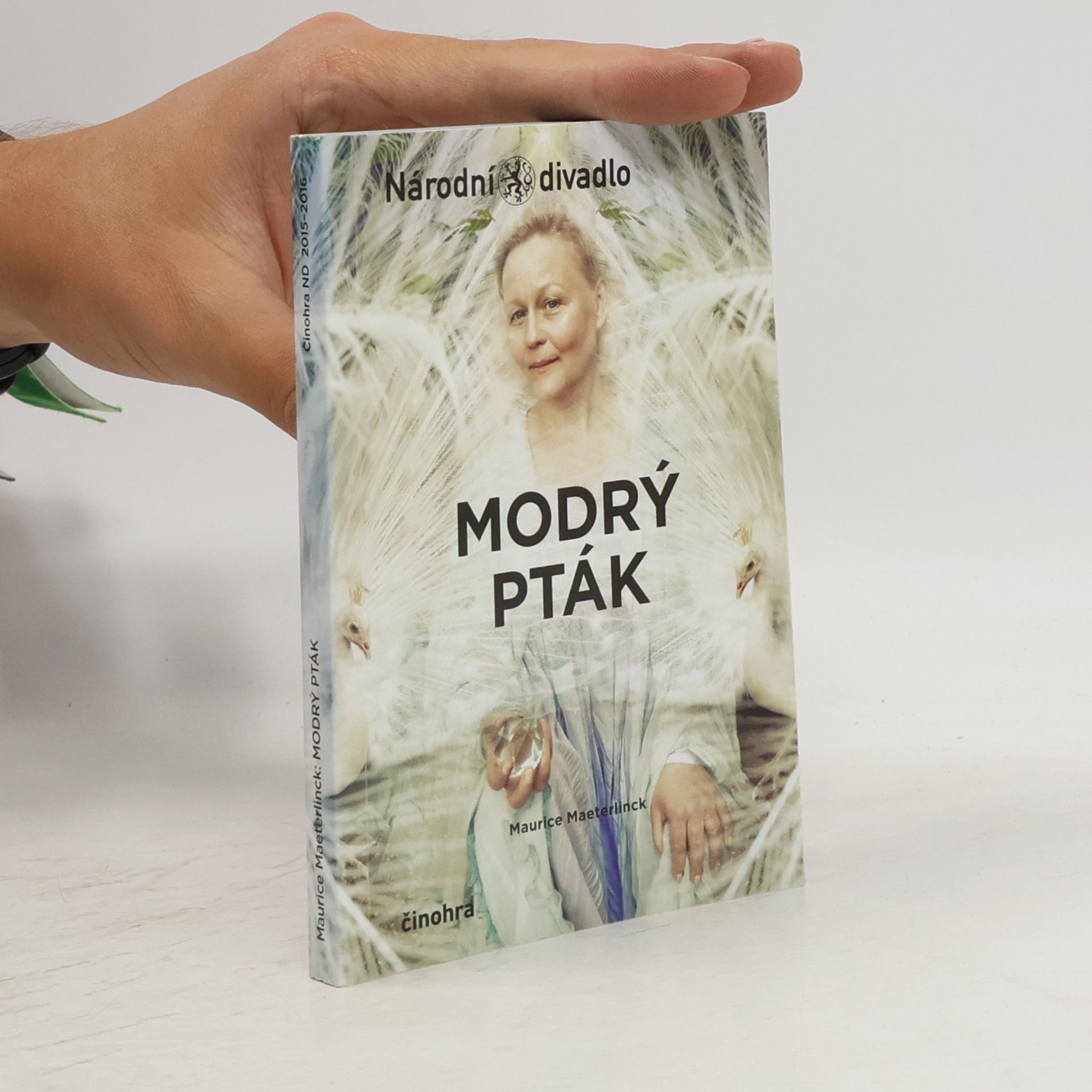 Modrý pták