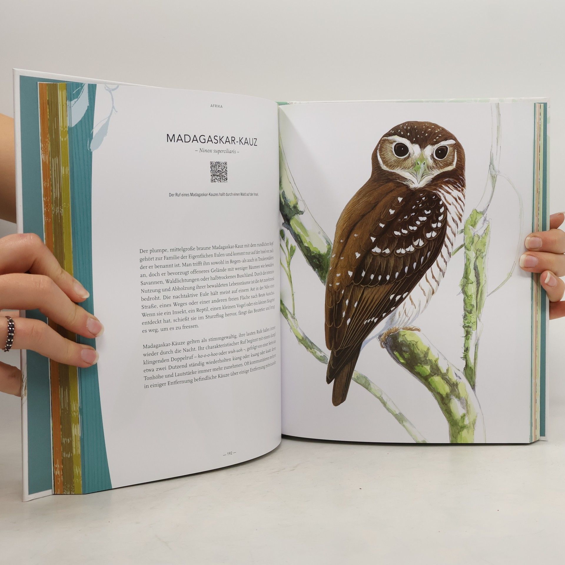 Les Beletsky 200 Vögel aus aller Welt