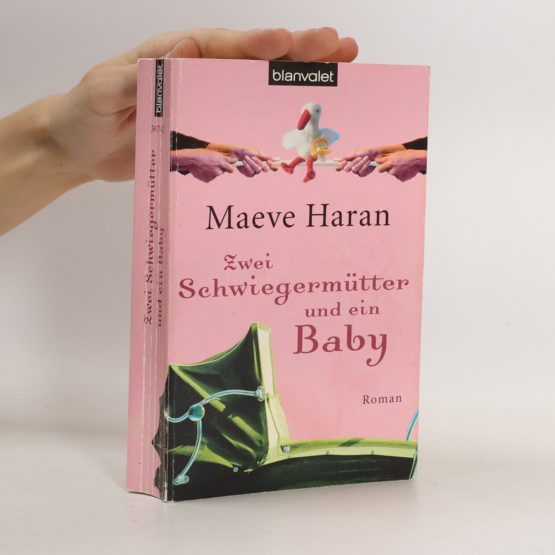 Maeve Haran Zwei Schwiegermütter und ein Baby