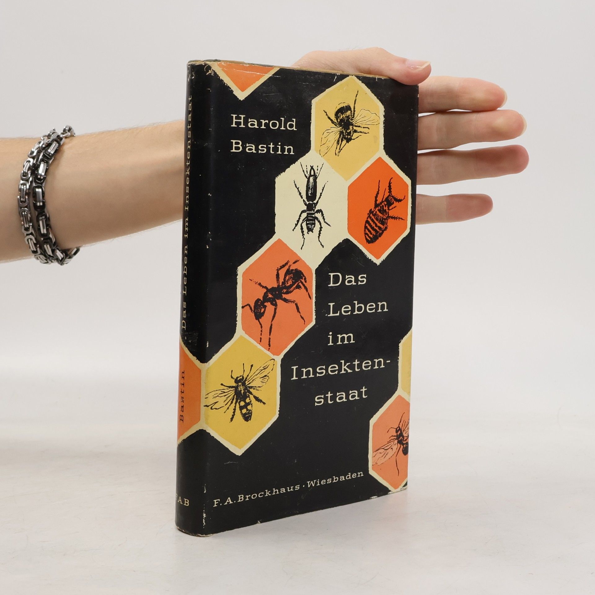 Das Leben im Insektenstaat