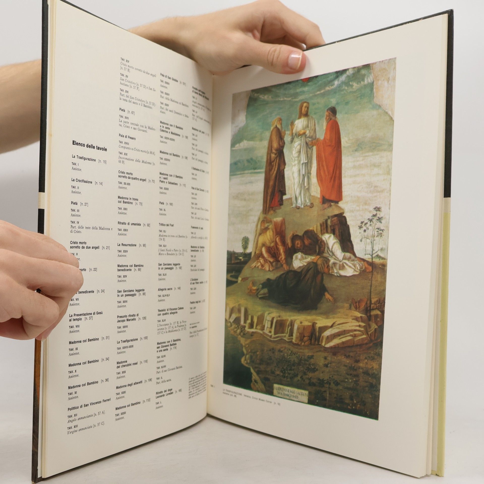 Renato Ghiotto L'Opera Completa di Giovanni Bellini detto Giambellino