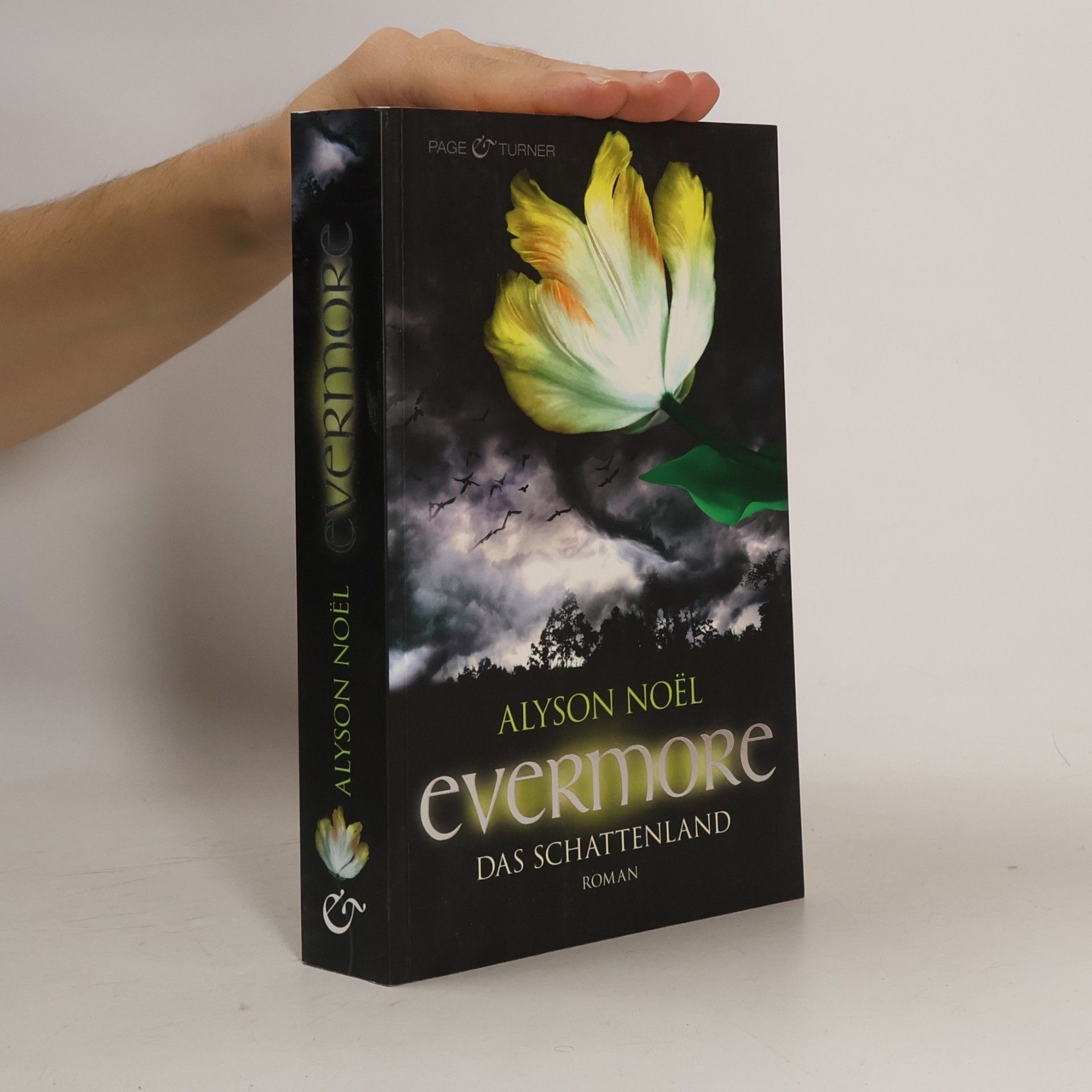 Alyson Noël Evermore: Das Schattenland
