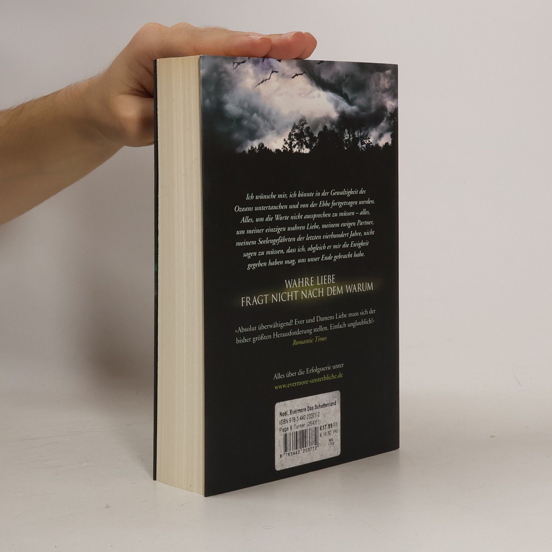 Alyson Noël Evermore: Das Schattenland