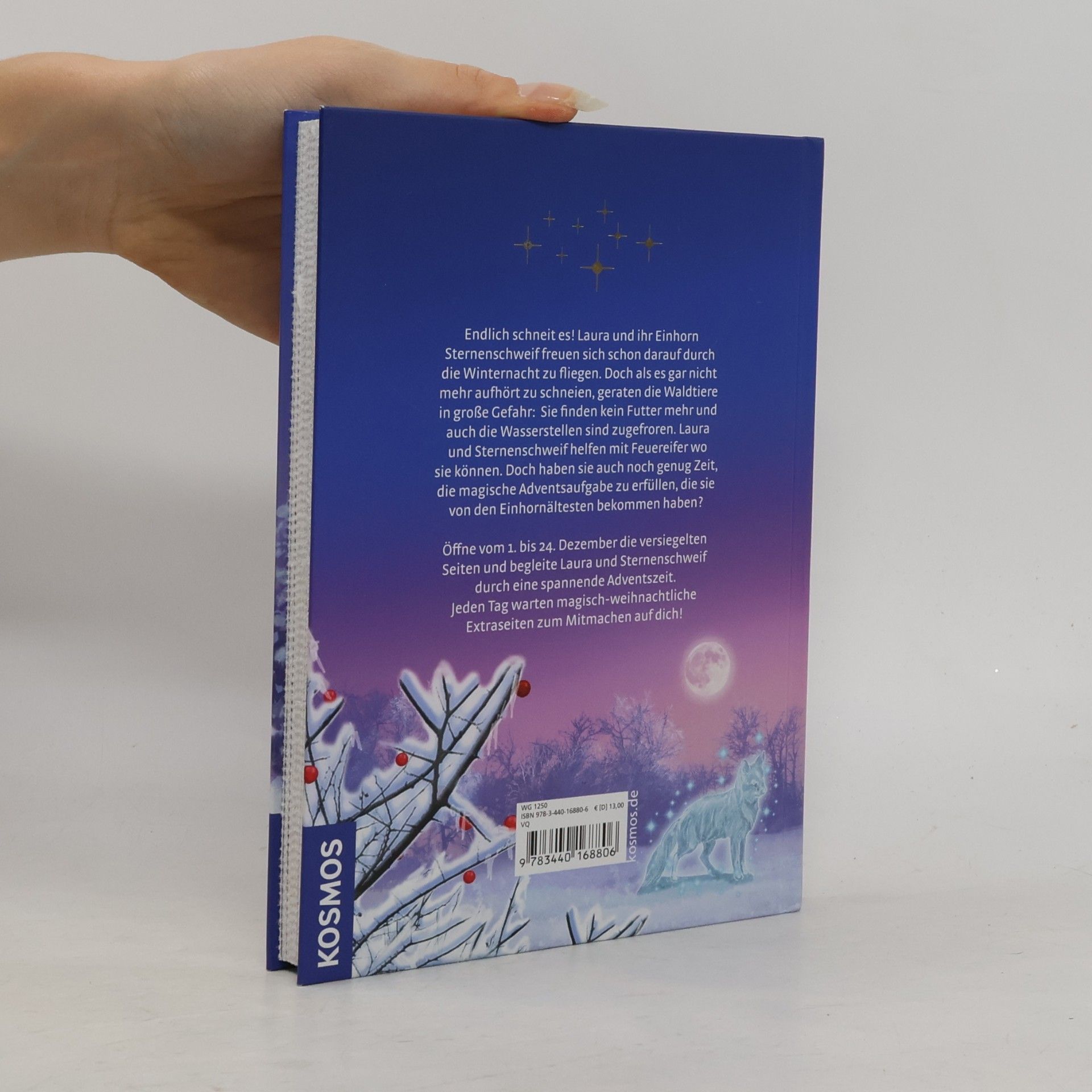 Linda Champan Sternenschweif Adventskalender Der Eiszauber