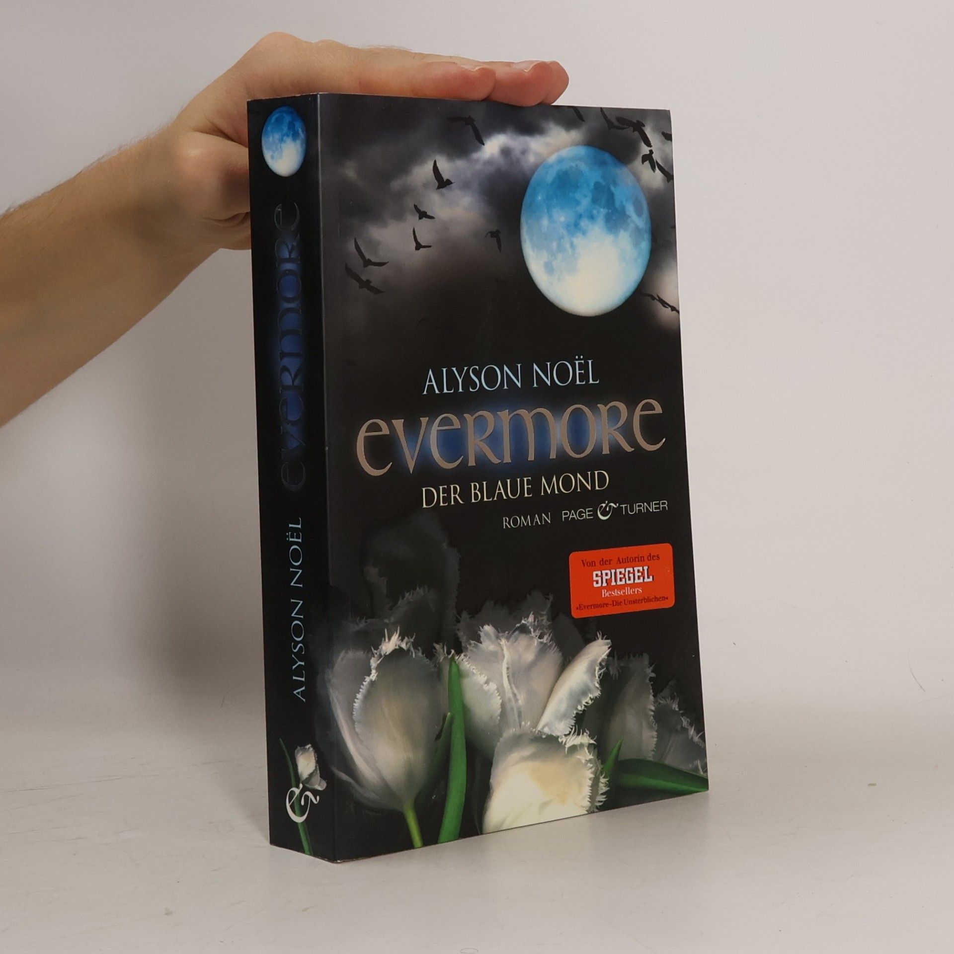Alyson Noël Evermore: Der blaue Mond