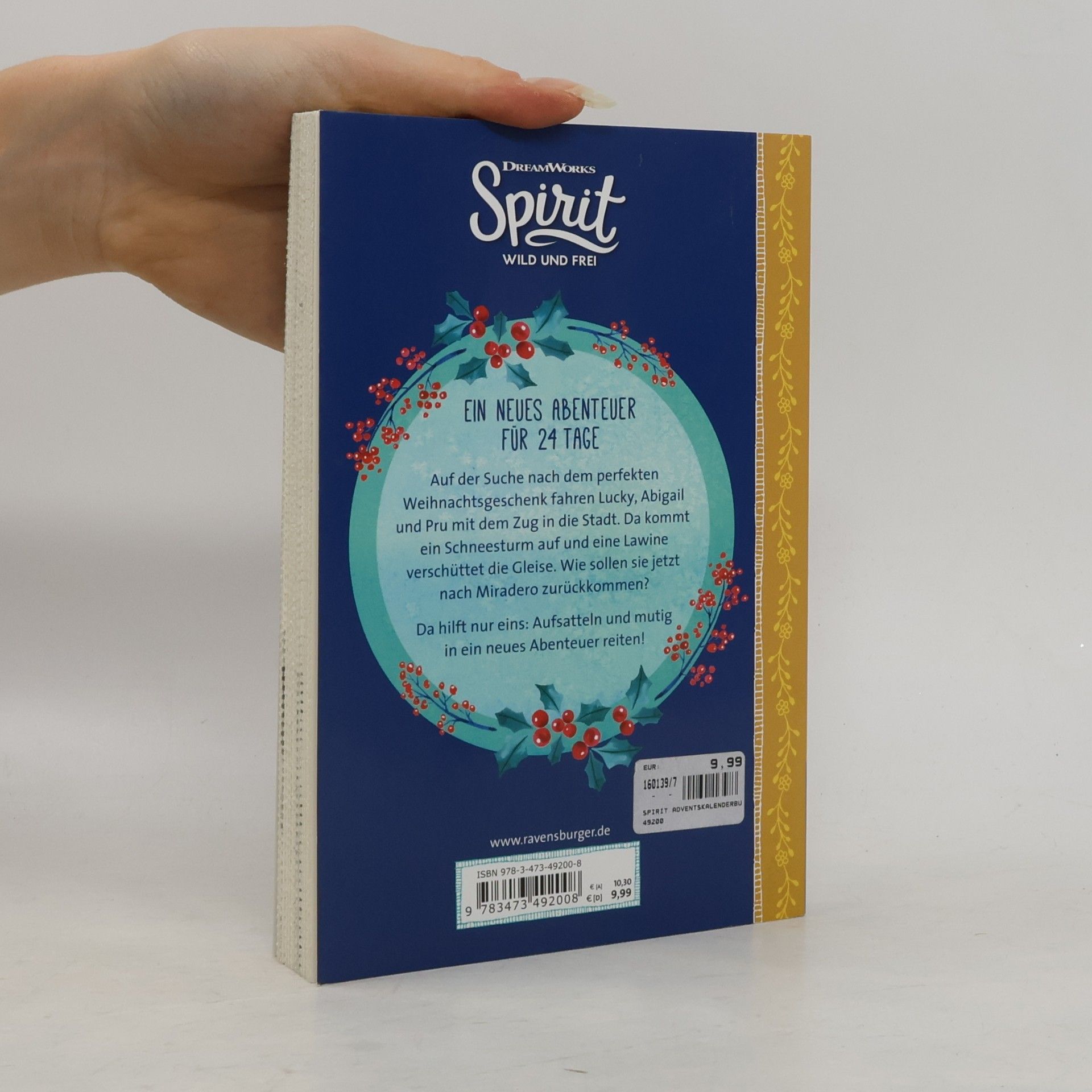 Various authors Dreamworks Spirit Wild und Frei. Adventskalender