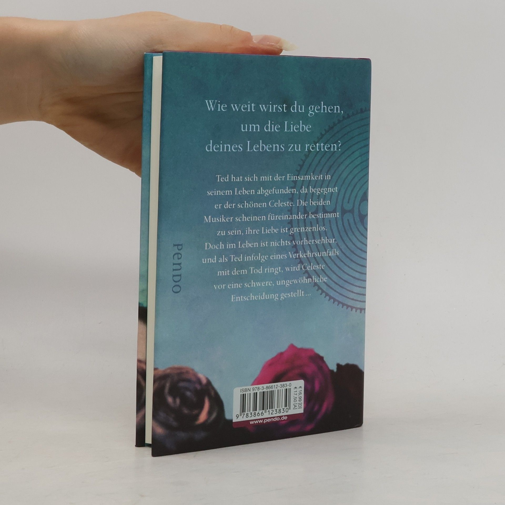 Elia Barceló Das Labyrinth der Liebe