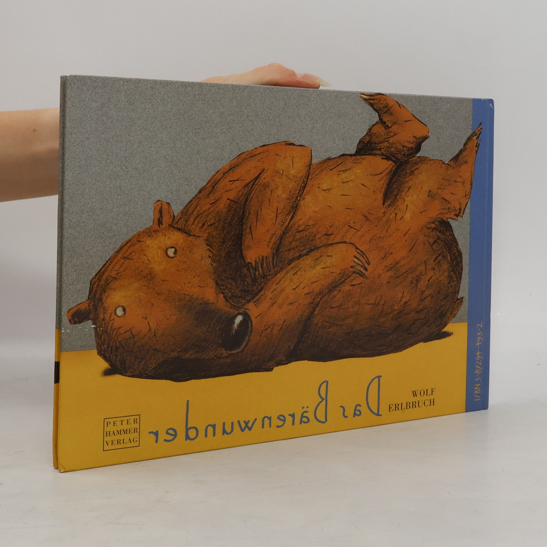 Wolf Erlbruch Das Bärenwunder