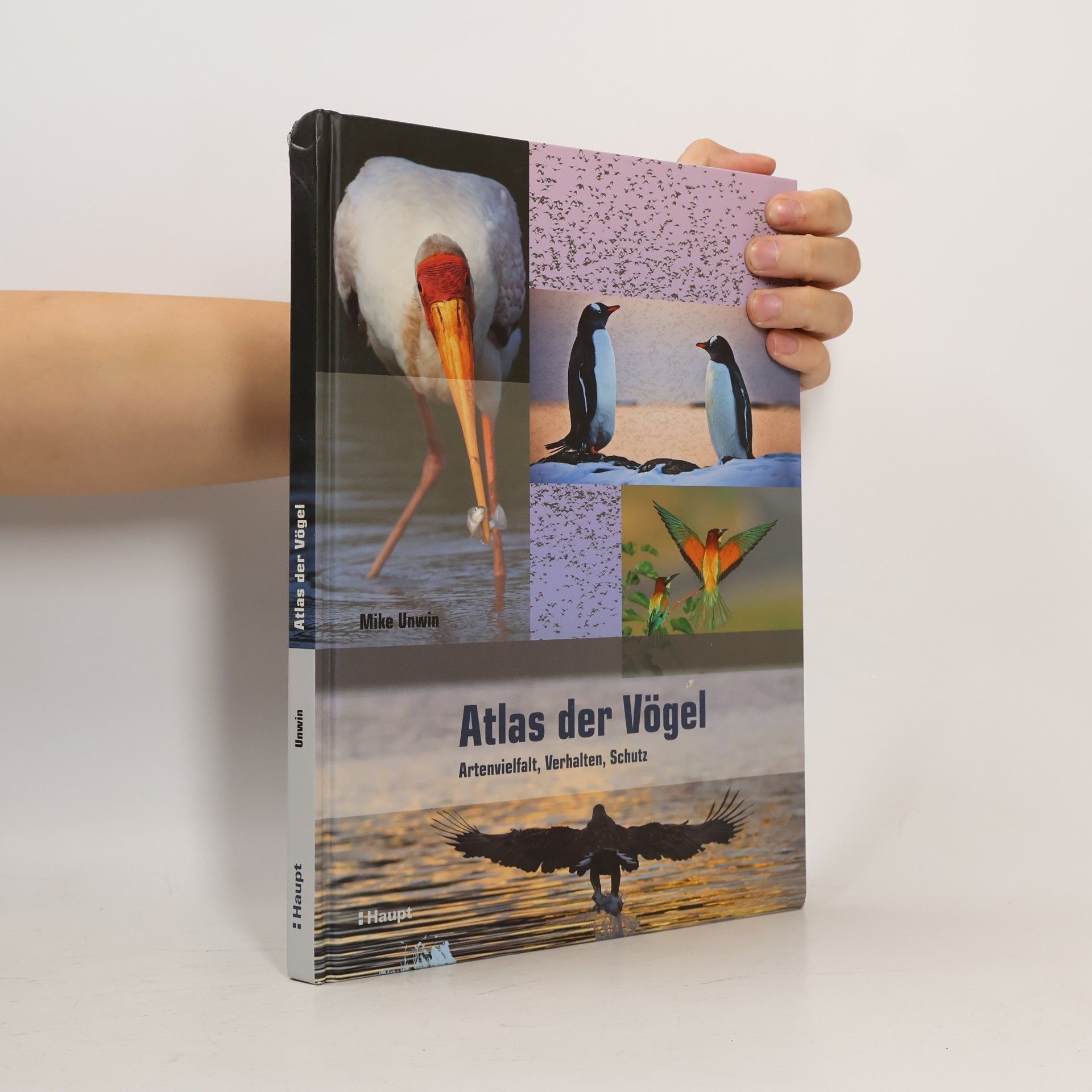 Mike Unwin Atlas der Vögel