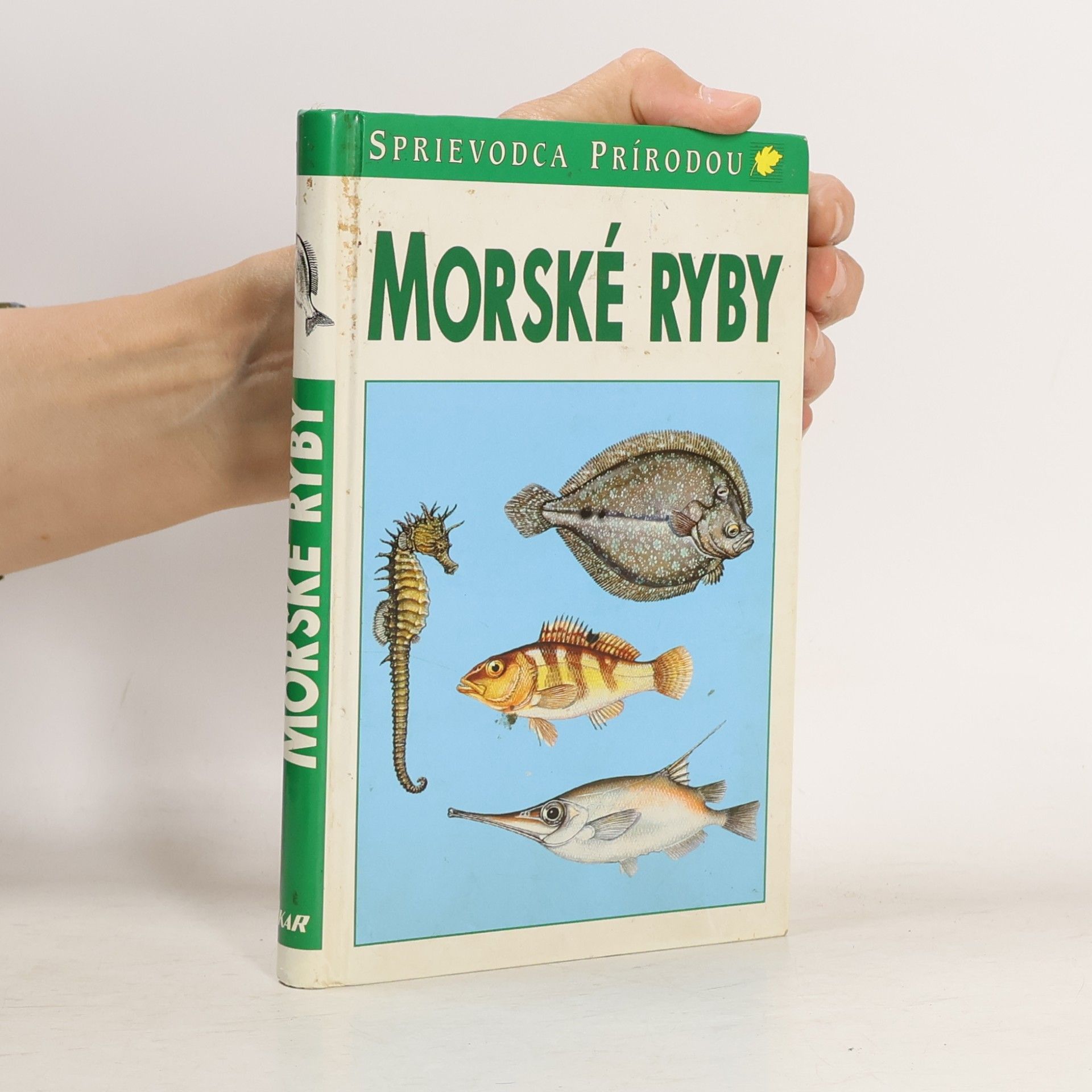 Frieder Sauer Morské ryby