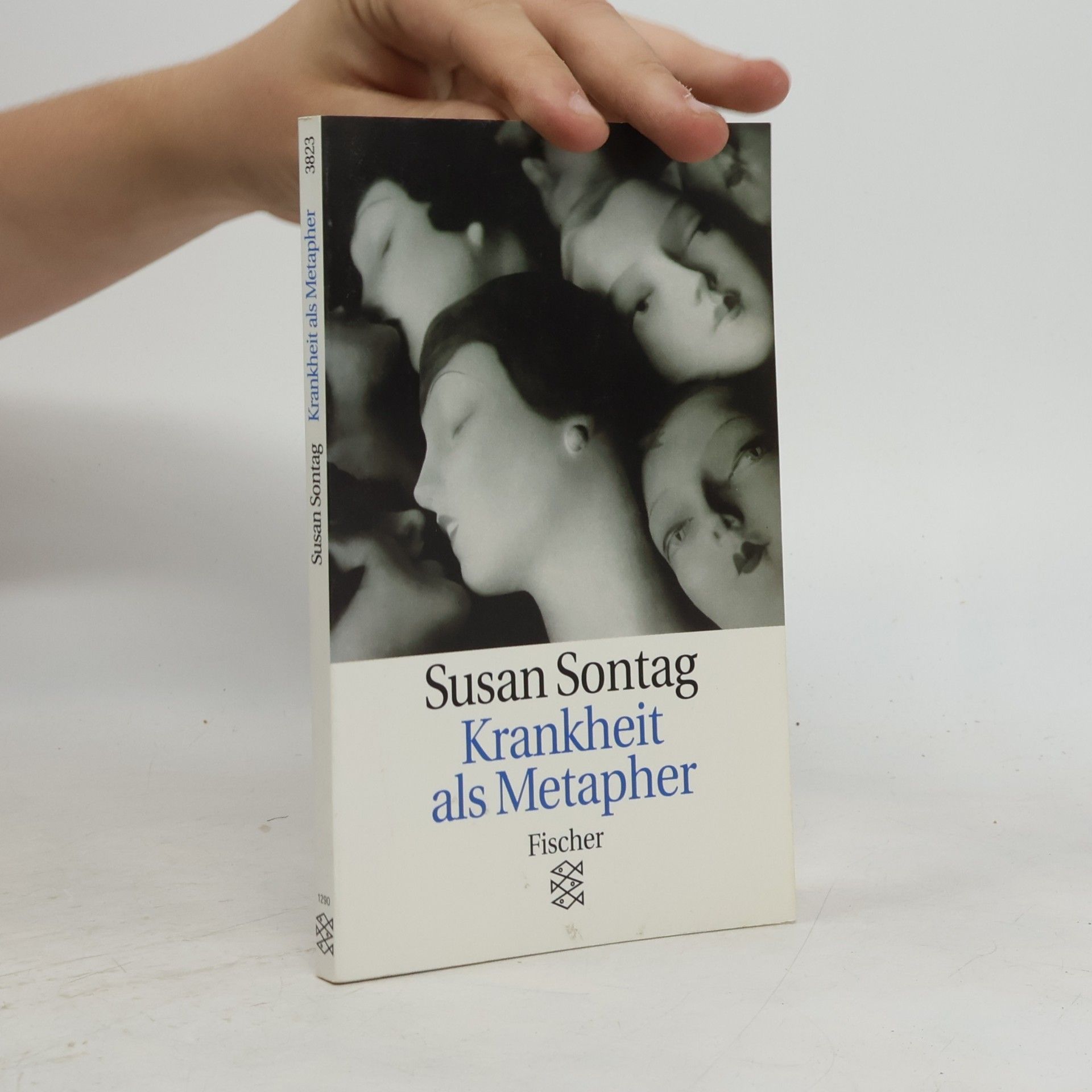 Susan Sontag Krankheit als Metapher