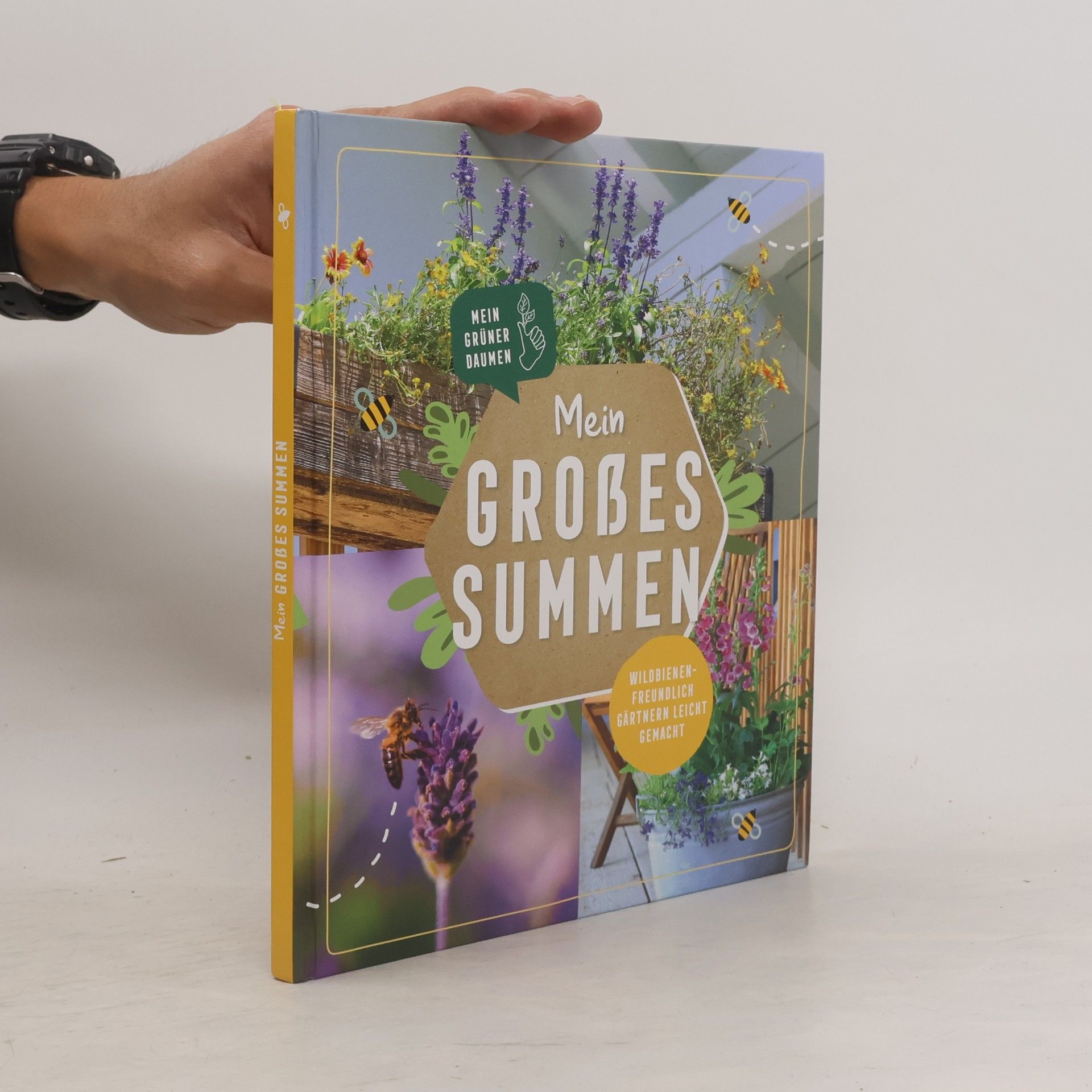 Collectif d'auteurs Mein grosses Summen